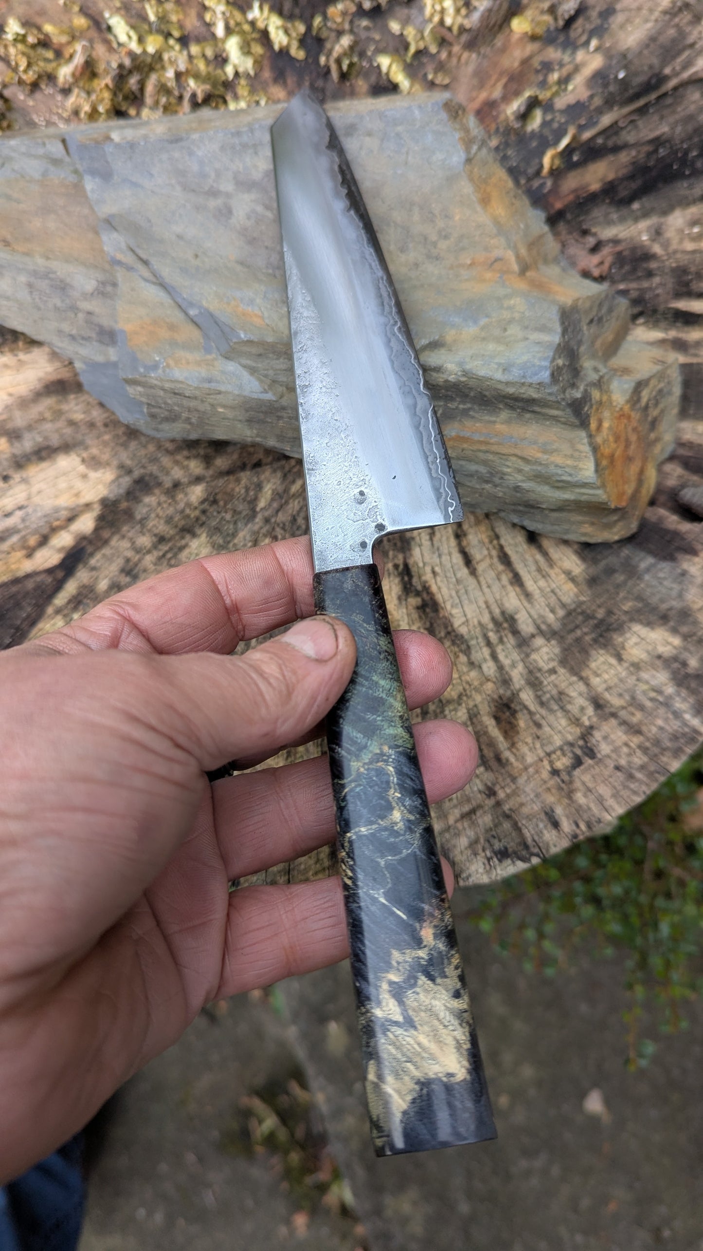 Kiritsuke 170mm. Takefu Super Blue Stainless Clad San Mai. Box Elder handleHandle