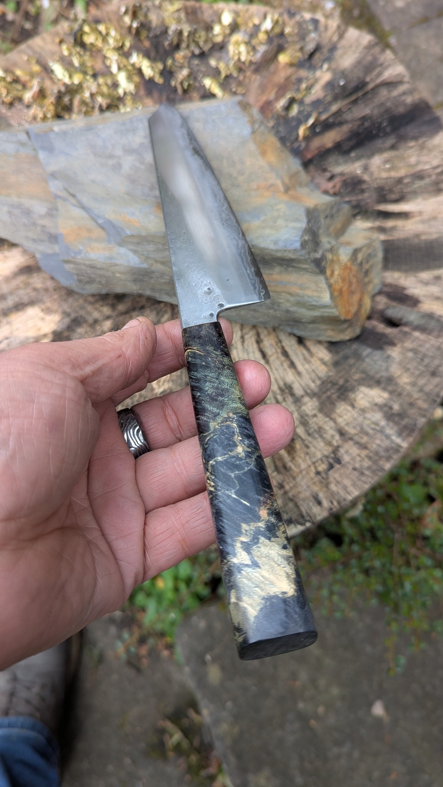 Kiritsuke 170mm. Takefu Super Blue Stainless Clad San Mai. Box Elder handleHandle