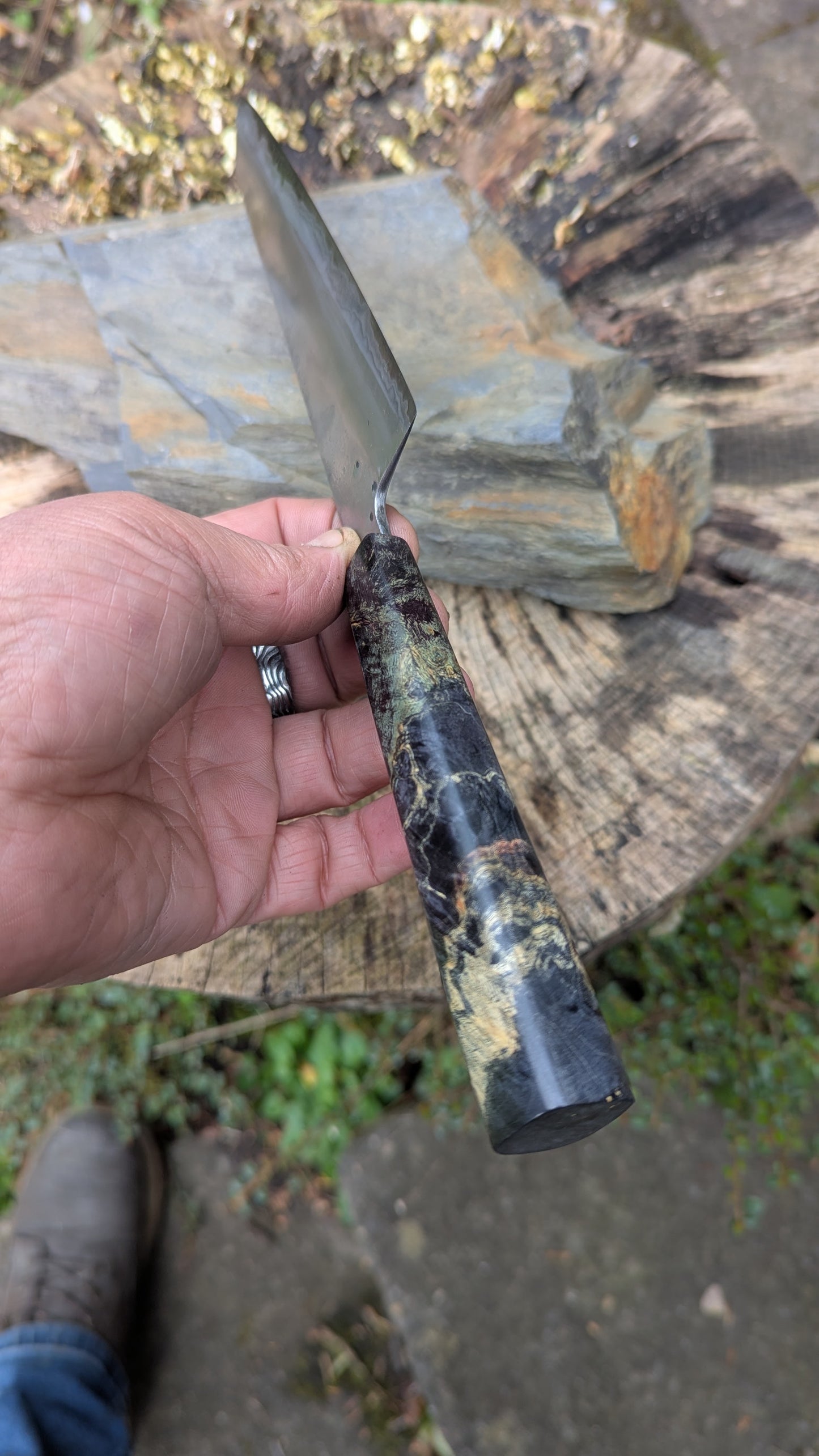 Kiritsuke 170mm. Takefu Super Blue Stainless Clad San Mai. Box Elder handleHandle