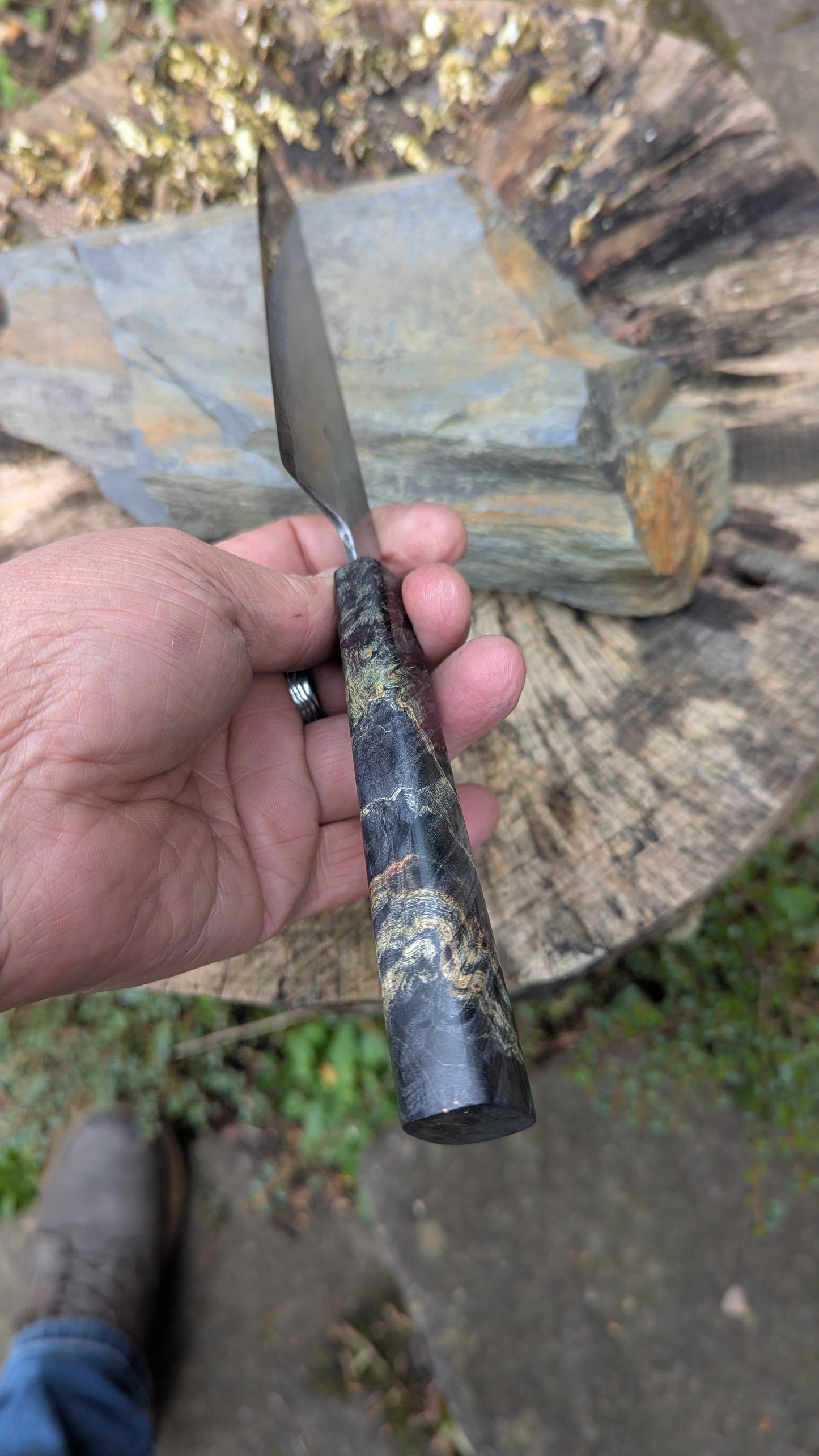 Kiritsuke 170mm. Takefu Super Blue Stainless Clad San Mai. Box Elder handleHandle