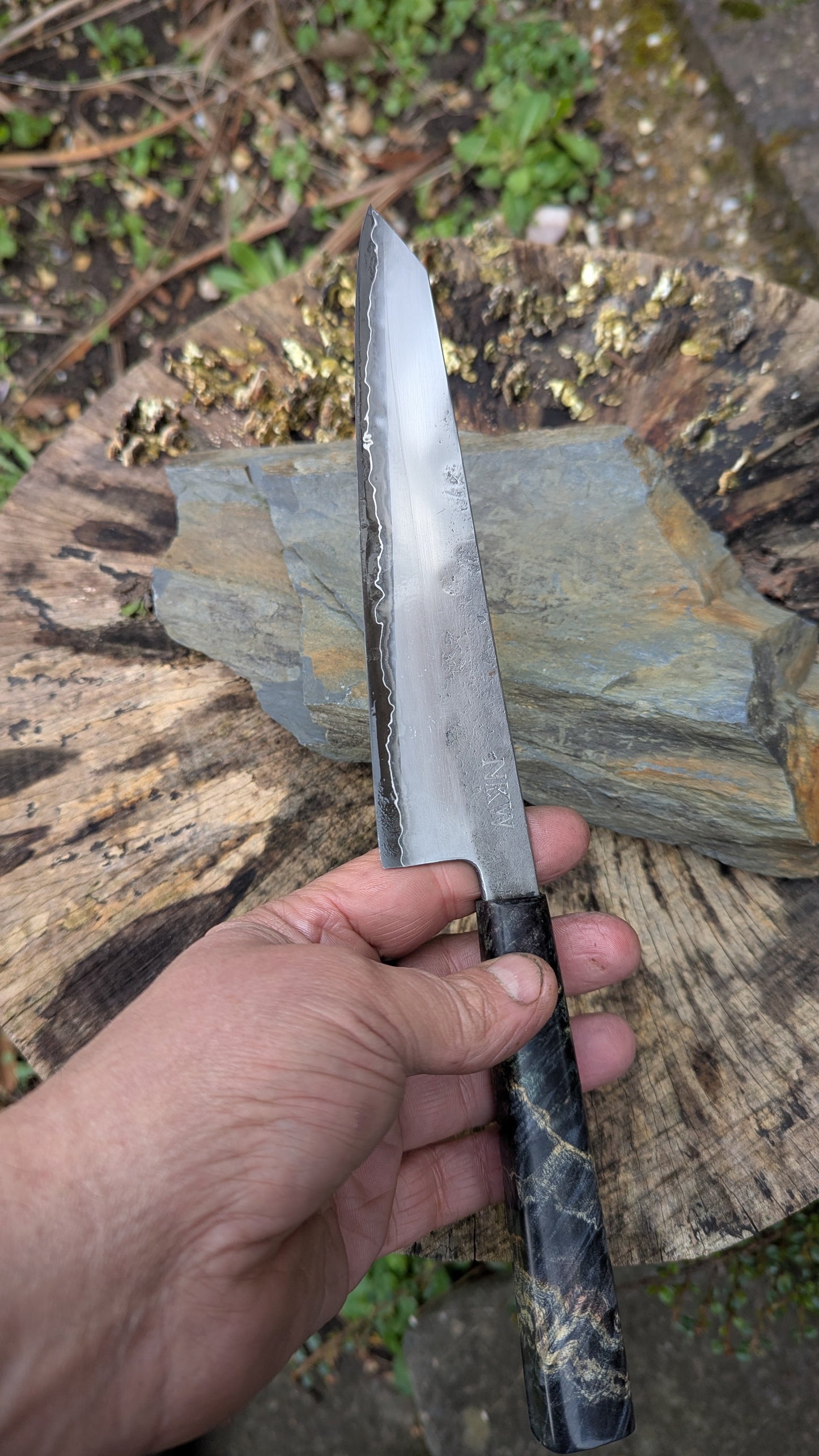 Kiritsuke 170mm. Takefu Super Blue Stainless Clad San Mai. Box Elder handleHandle