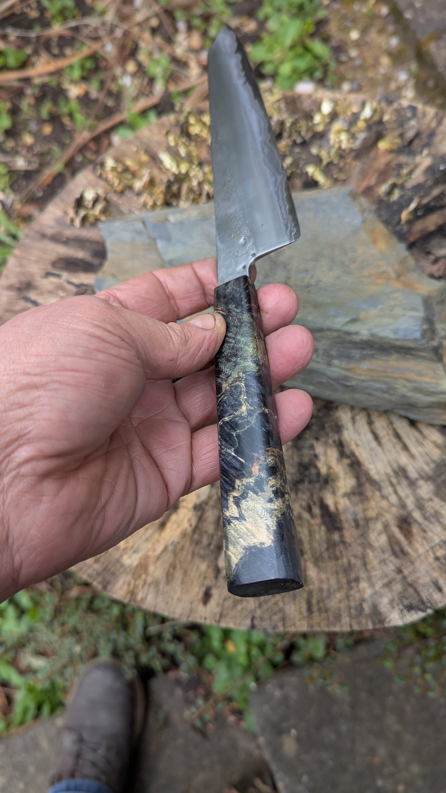 Kiritsuke 170mm. Takefu Super Blue Stainless Clad San Mai. Box Elder handleHandle