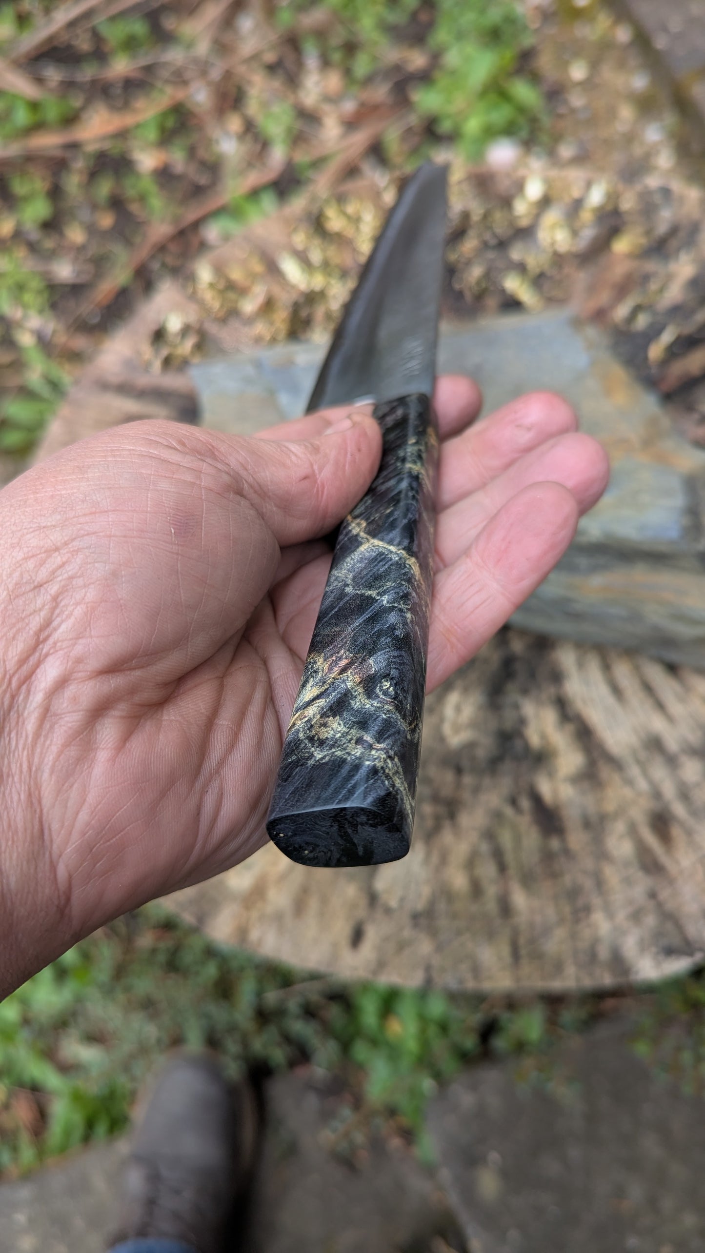 Kiritsuke 170mm. Takefu Super Blue Stainless Clad San Mai. Box Elder handleHandle