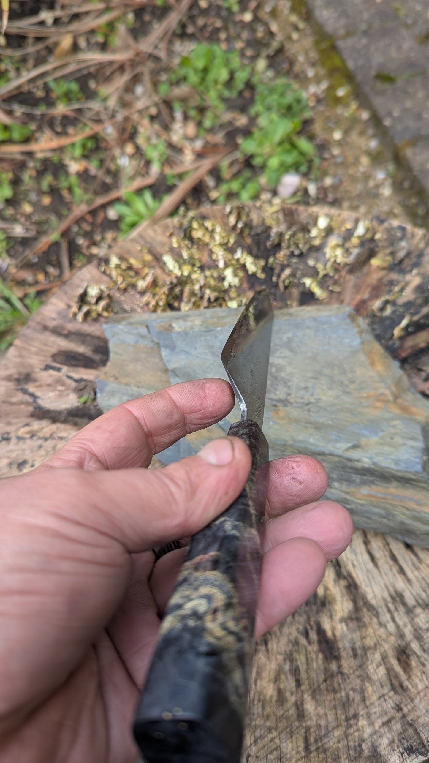 Kiritsuke 170mm. Takefu Super Blue Stainless Clad San Mai. Box Elder handleHandle