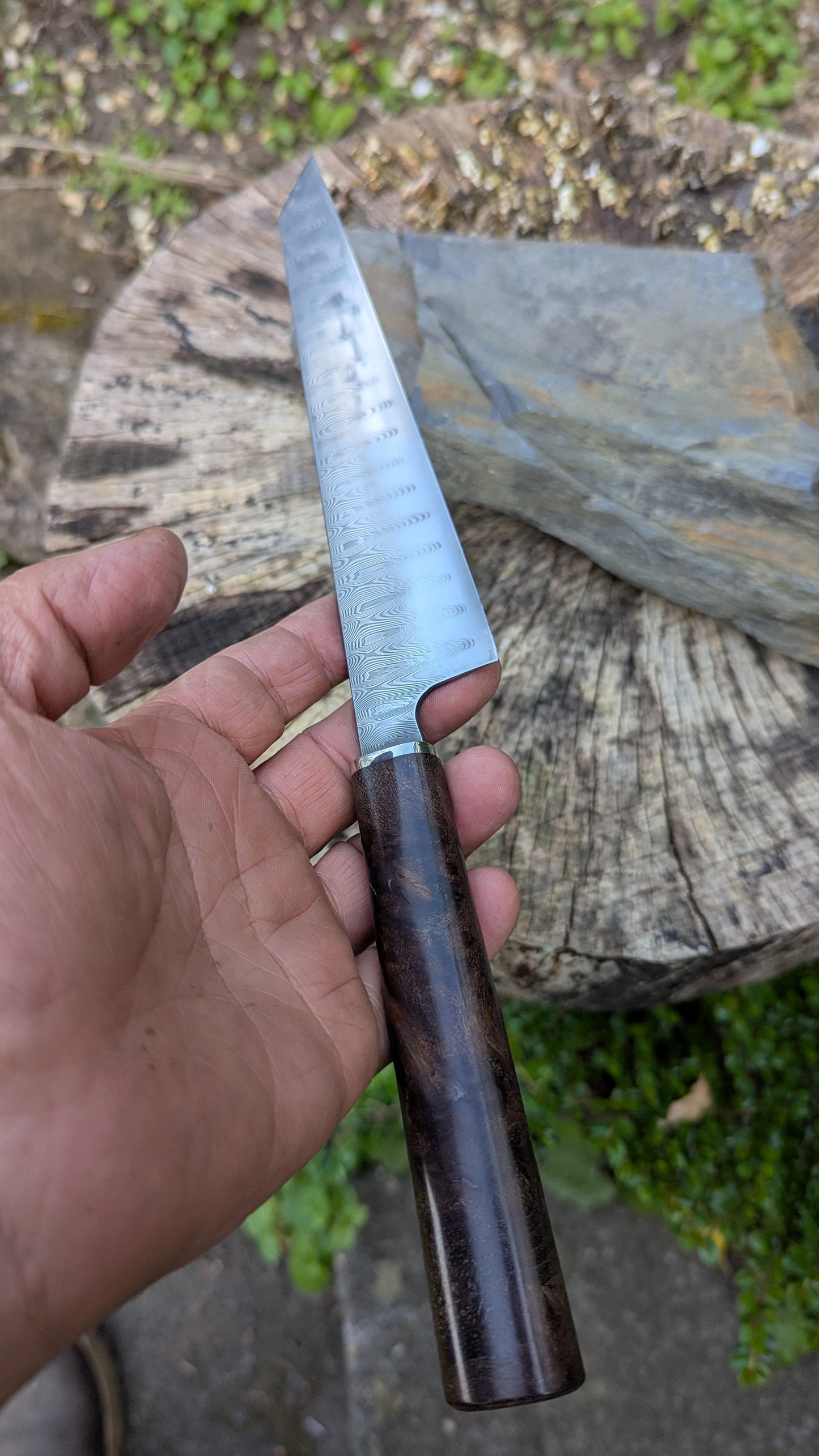 Hand Made 185mm Stainless Damascus San Mai. Burr Elm Wood Handle