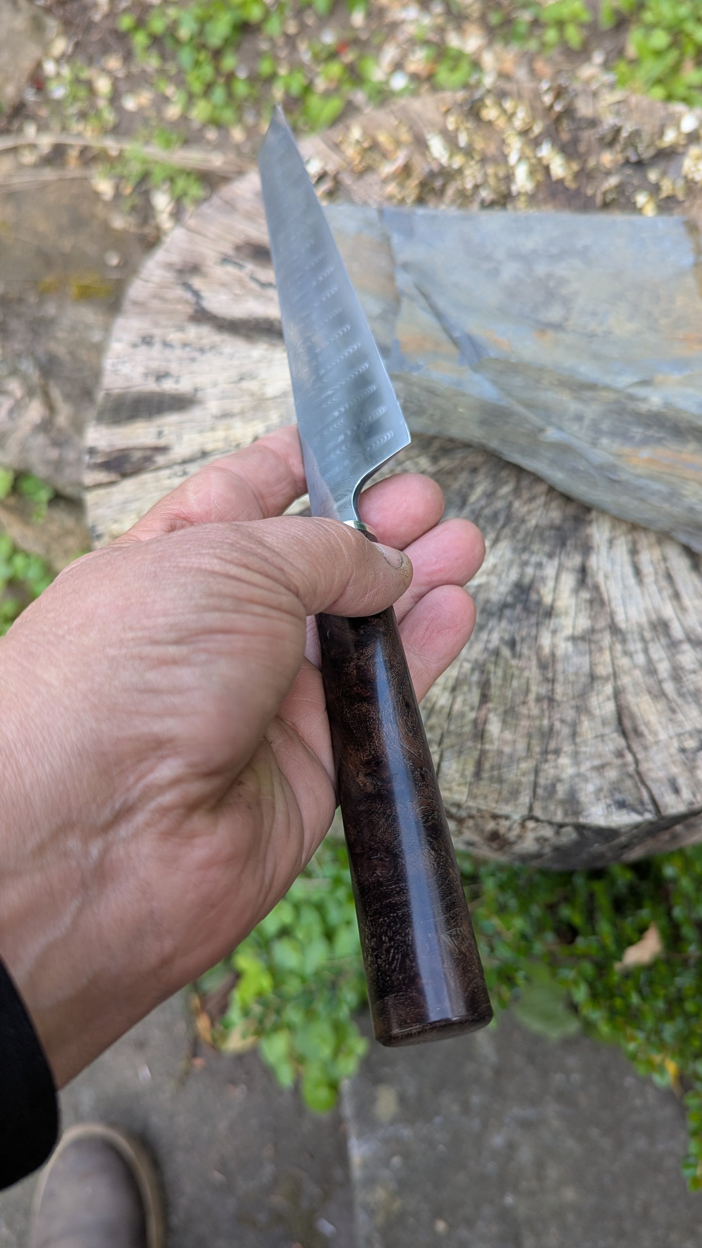 Hand Made 185mm Stainless Damascus San Mai. Burr Elm Wood Handle
