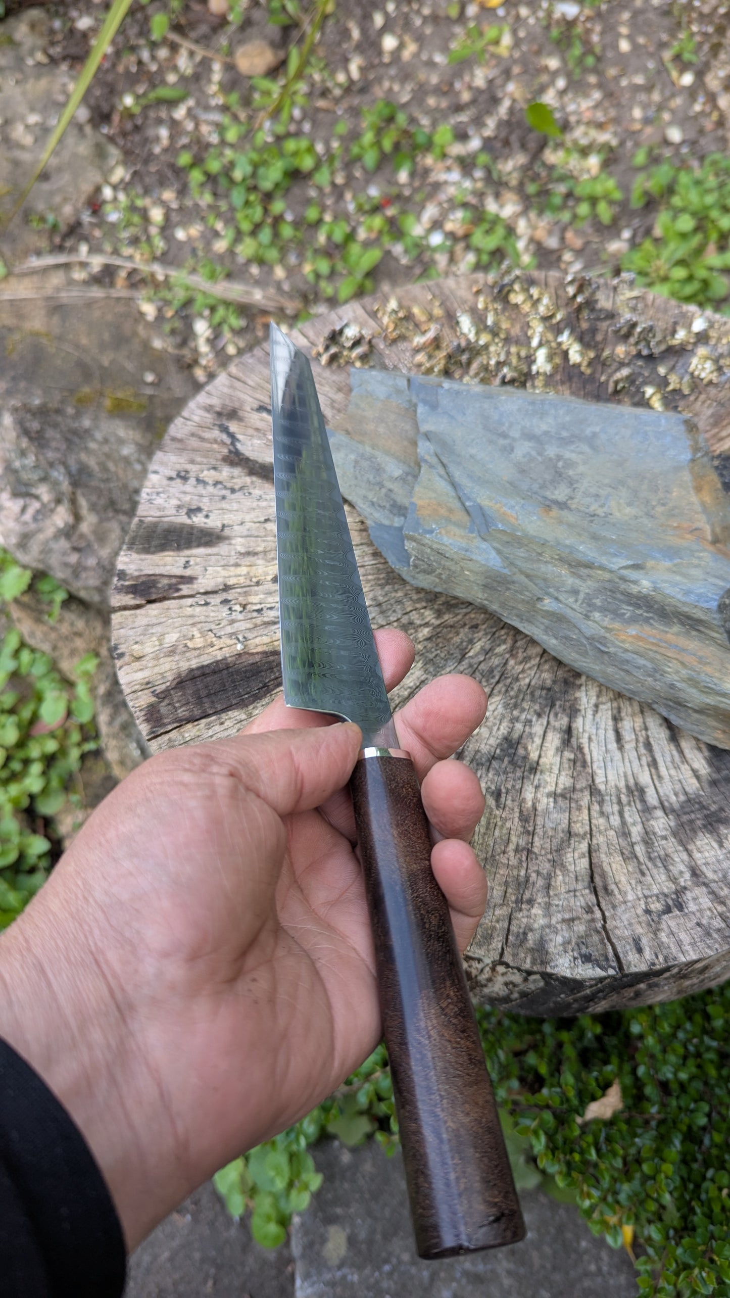 Hand Made 185mm Stainless Damascus San Mai. Burr Elm Wood Handle