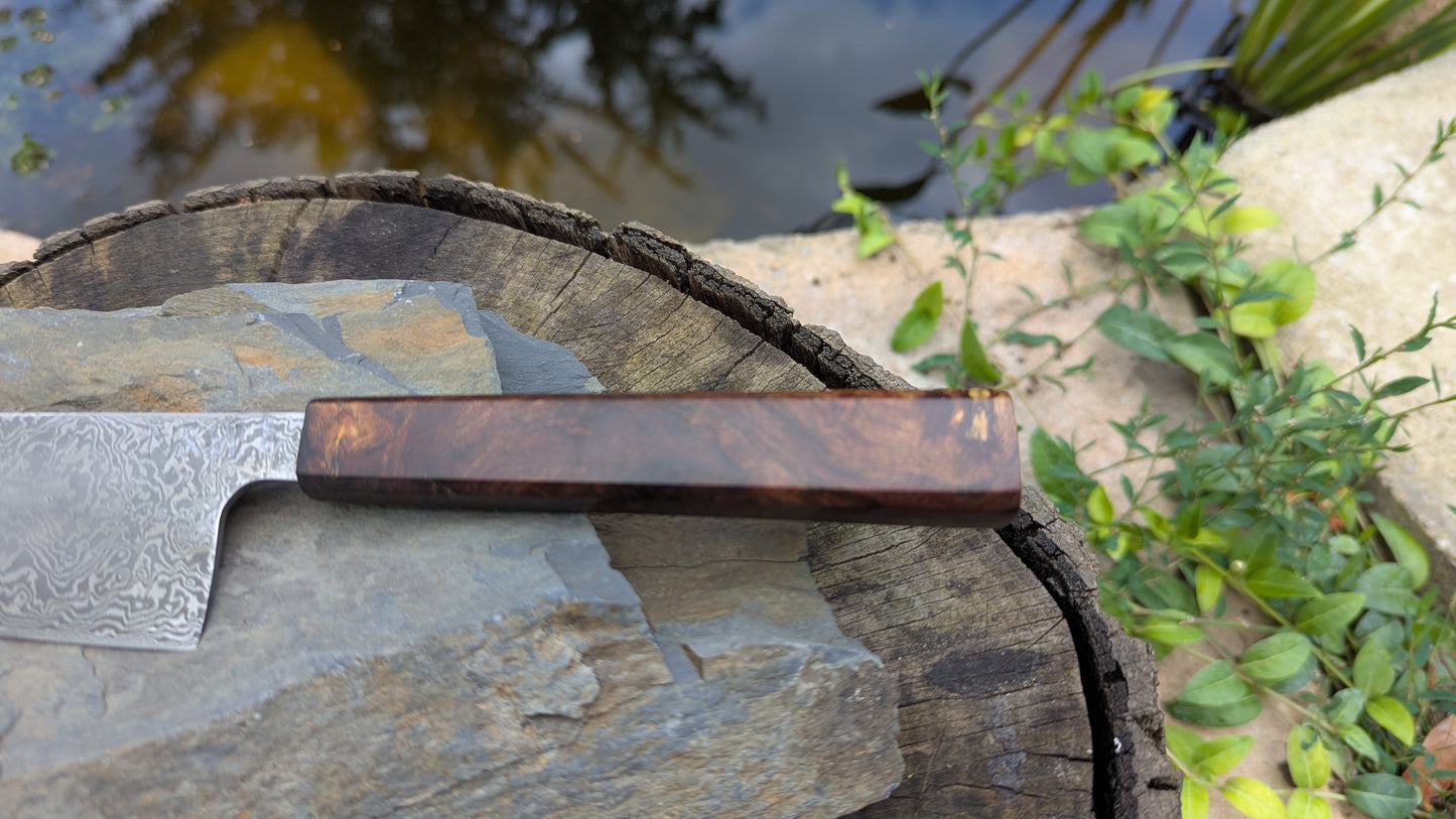 Kiritsuke 170mm. Carbon Damascus steel. Burr ElmHandle