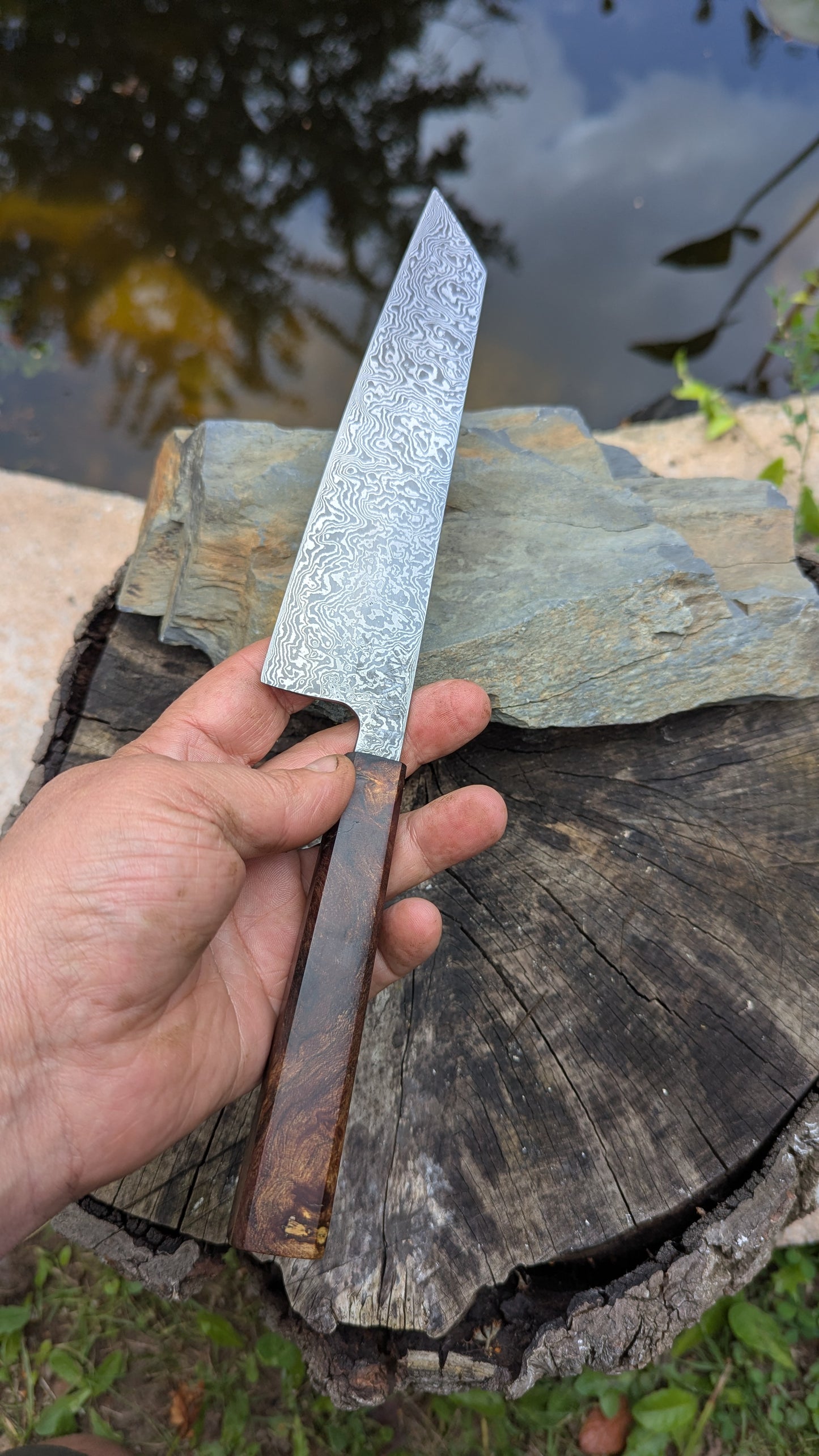 Kiritsuke 170mm. Carbon Damascus steel. Burr ElmHandle