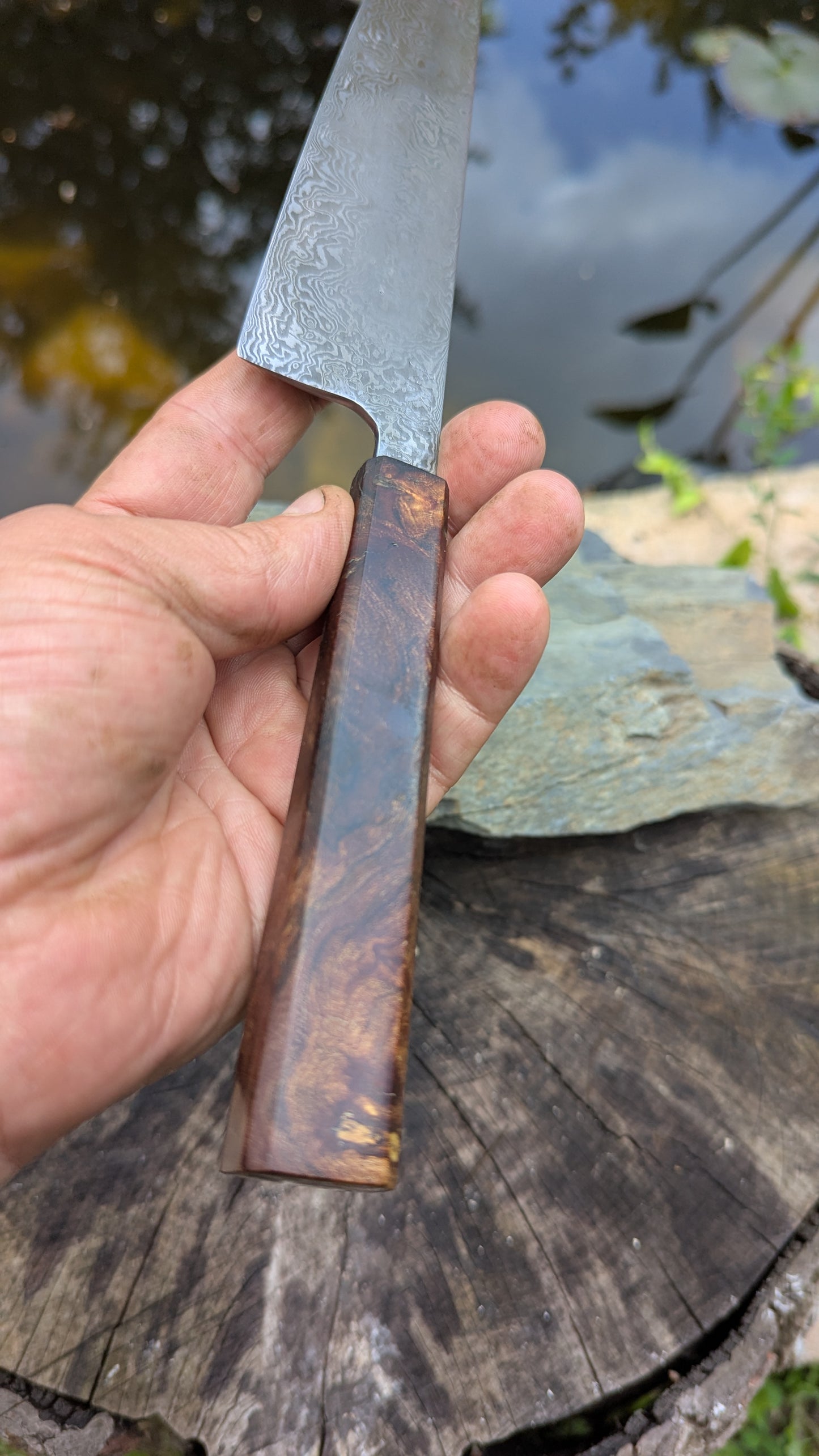 Kiritsuke 170mm. Carbon Damascus steel. Burr ElmHandle