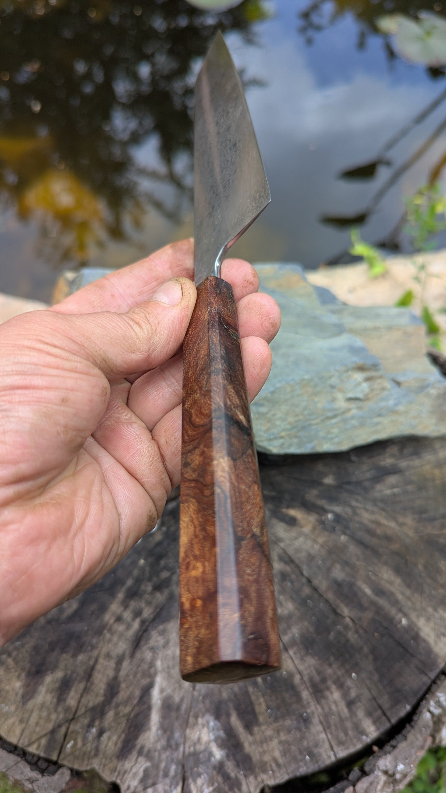 Kiritsuke 170mm. Carbon Damascus steel. Burr ElmHandle
