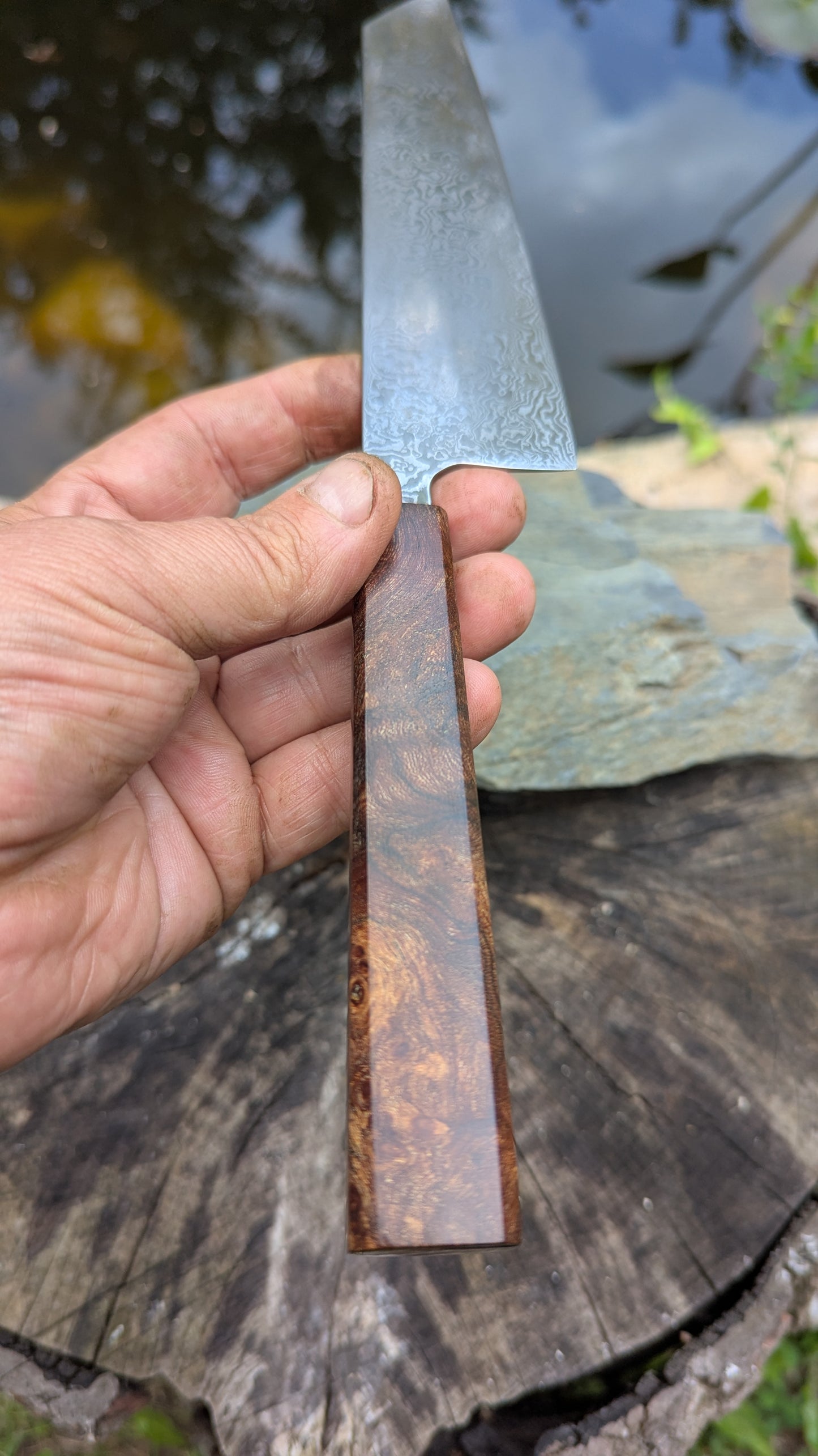 Kiritsuke 170mm. Carbon Damascus steel. Burr ElmHandle