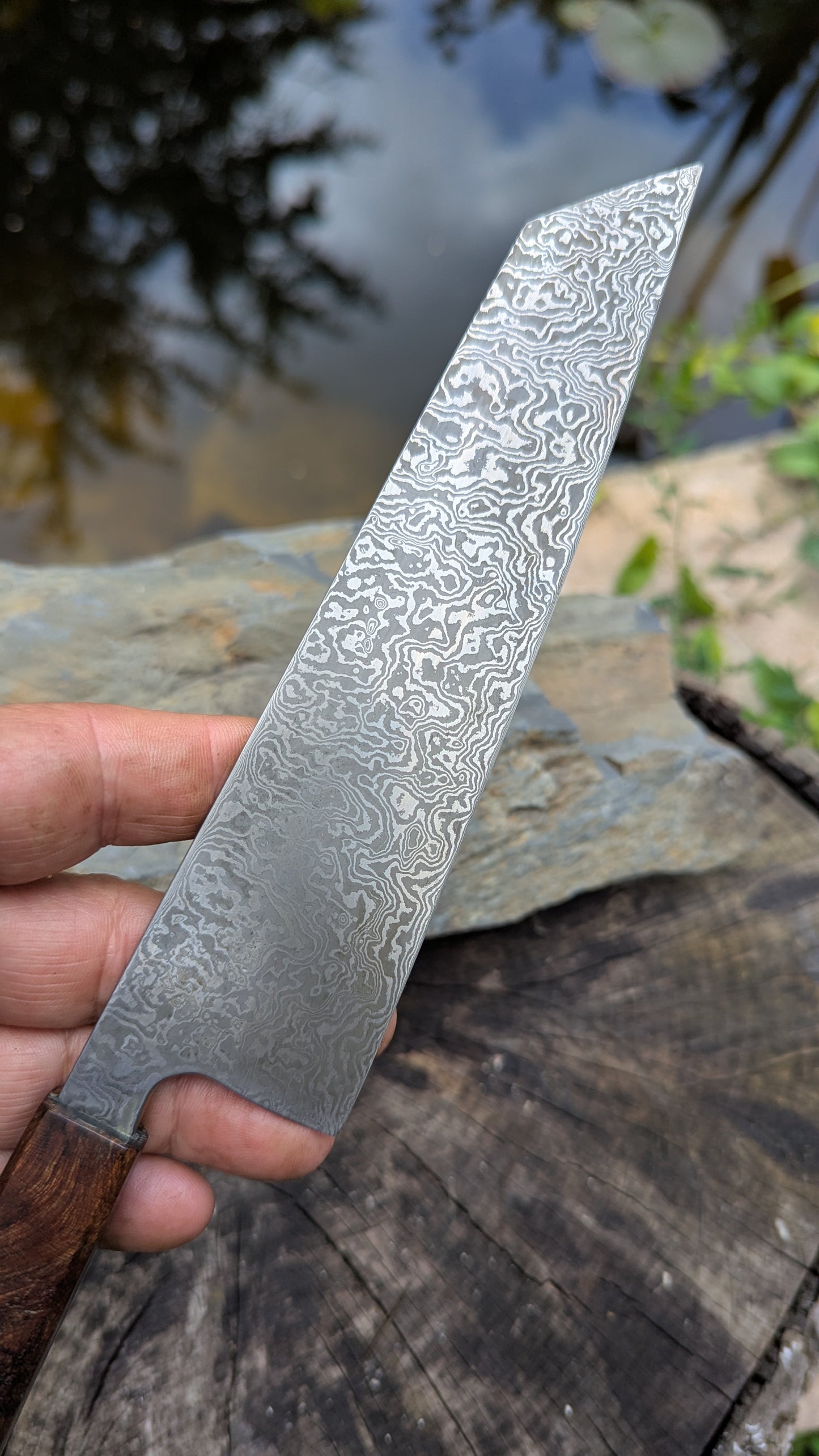Kiritsuke 170mm. Carbon Damascus steel. Burr ElmHandle