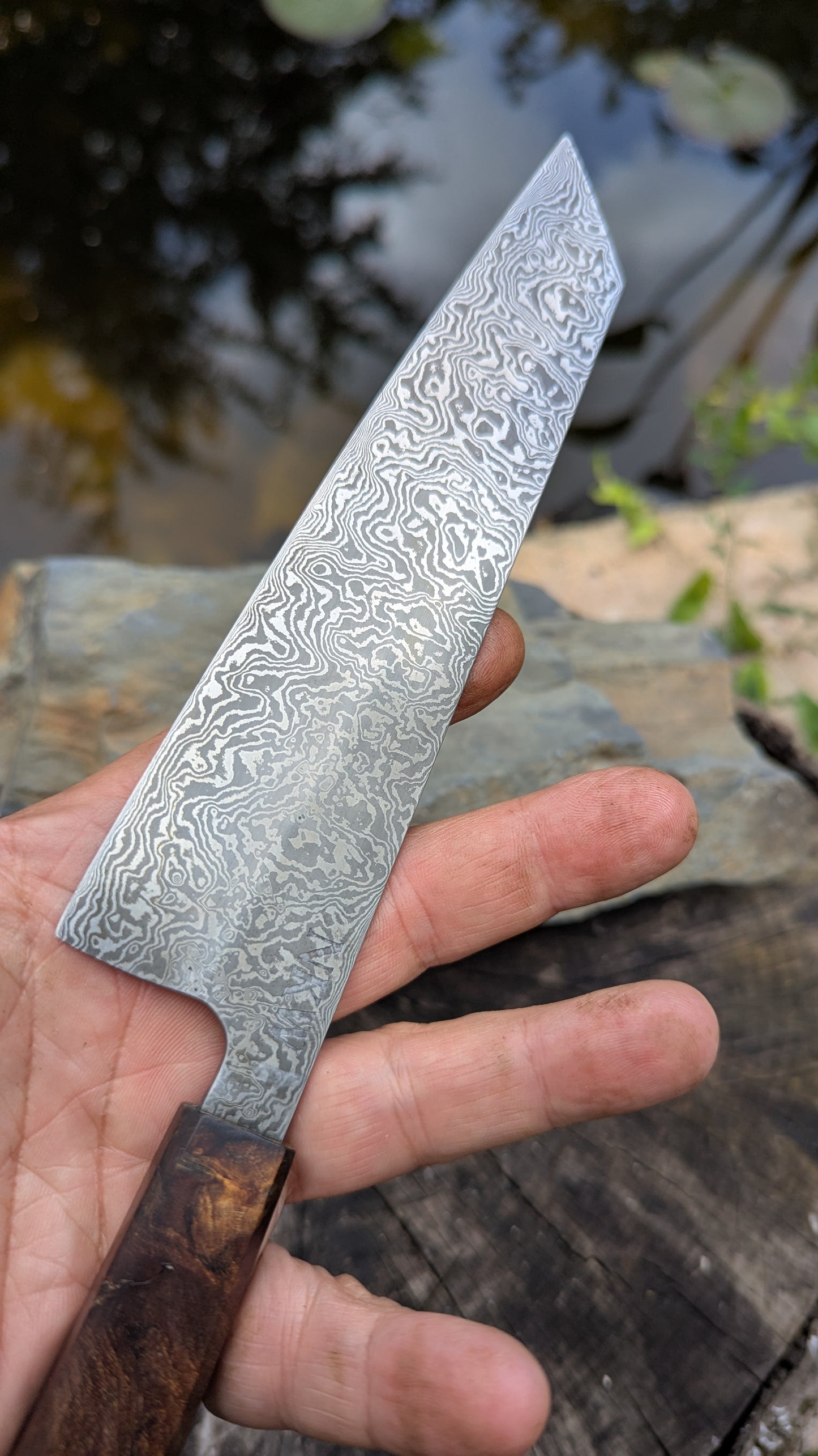 Kiritsuke 170mm. Carbon Damascus steel. Burr ElmHandle