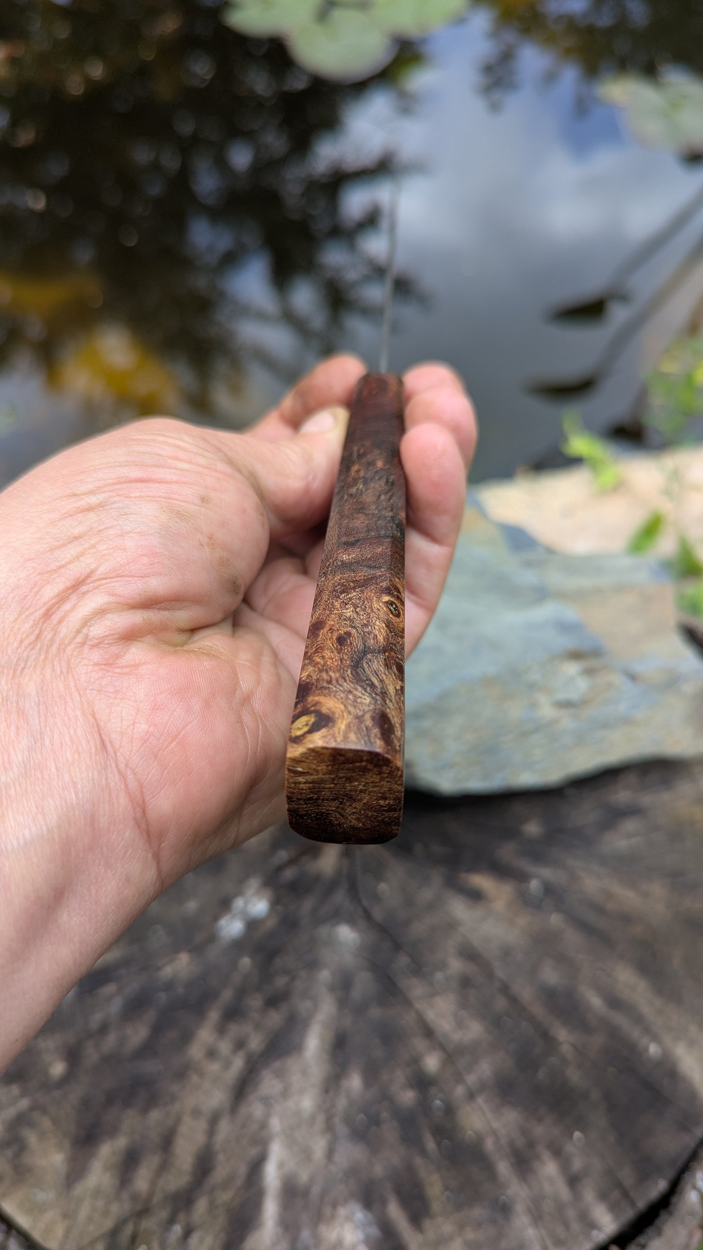 Kiritsuke 170mm. Carbon Damascus steel. Burr ElmHandle