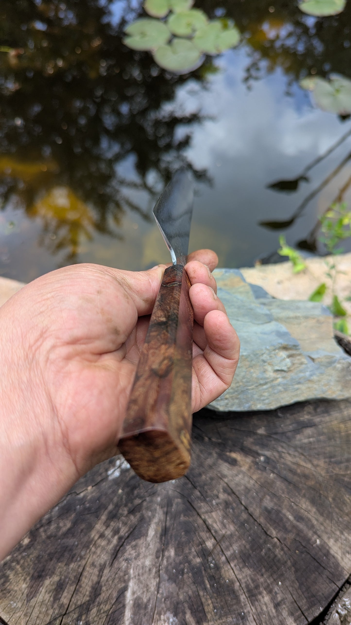 Kiritsuke 170mm. Carbon Damascus steel. Burr ElmHandle