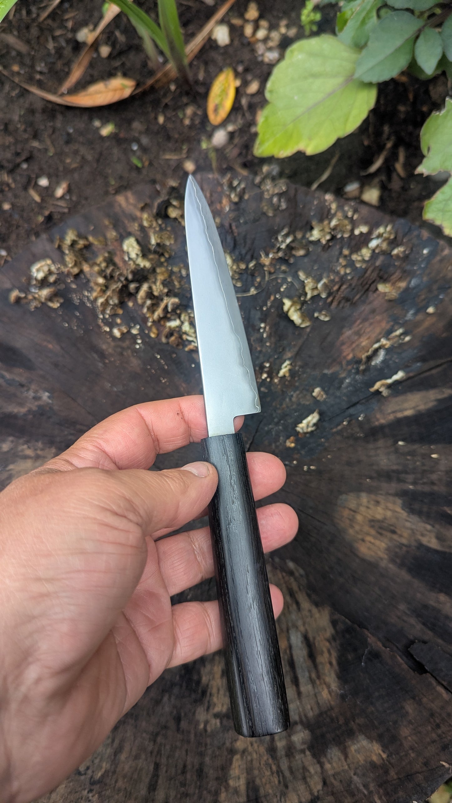 Hand Made Paring knife 115mm. Takefu Super Blue Stainless Clad San Mai. 5600 years old Bog Oak Handle