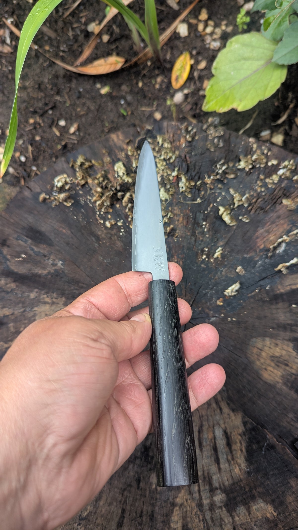 Hand Made Paring knife 115mm. Takefu Super Blue Stainless Clad San Mai. 5600 years old Bog Oak Handle