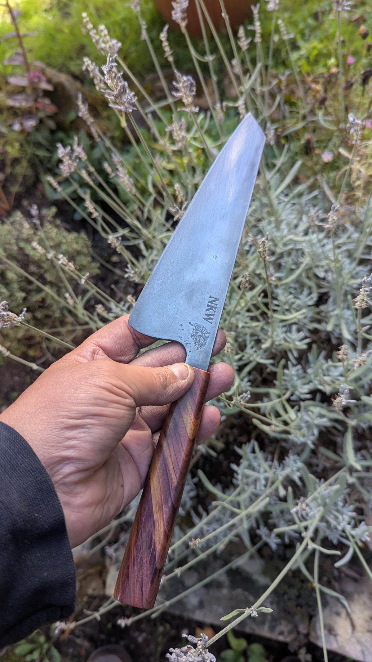 Forged 185mm Kiritsuke. Takefu Shiro 2 carbon steel with Juniper Wood Handle