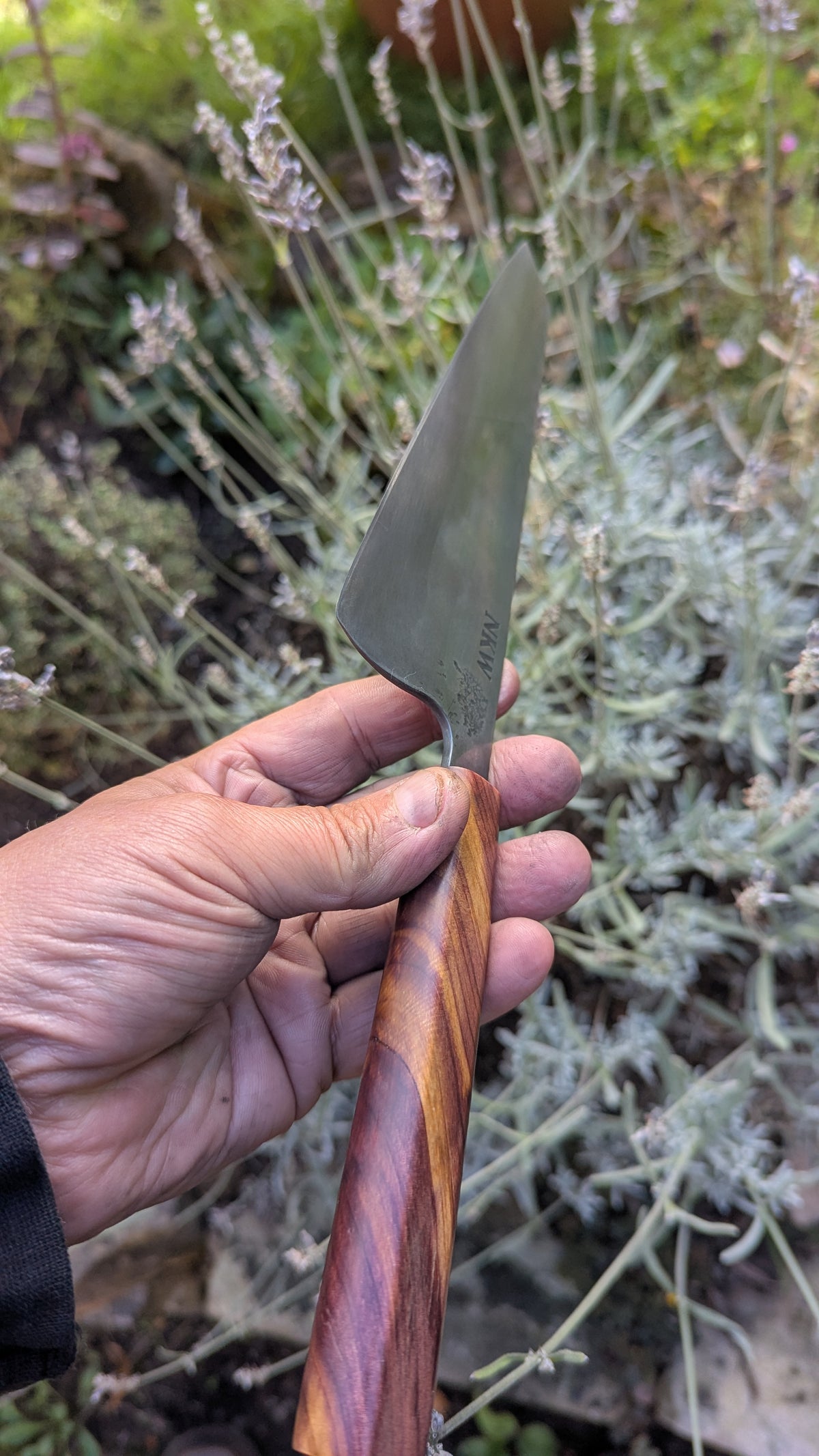 Forged 185mm Kiritsuke. Takefu Shiro 2 carbon steel with Juniper Wood Handle