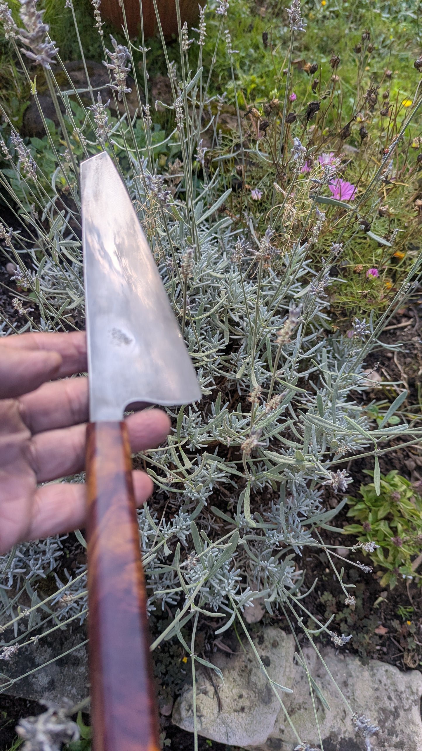 Forged 185mm Kiritsuke. Takefu Shiro 2 carbon steel with Juniper Wood Handle