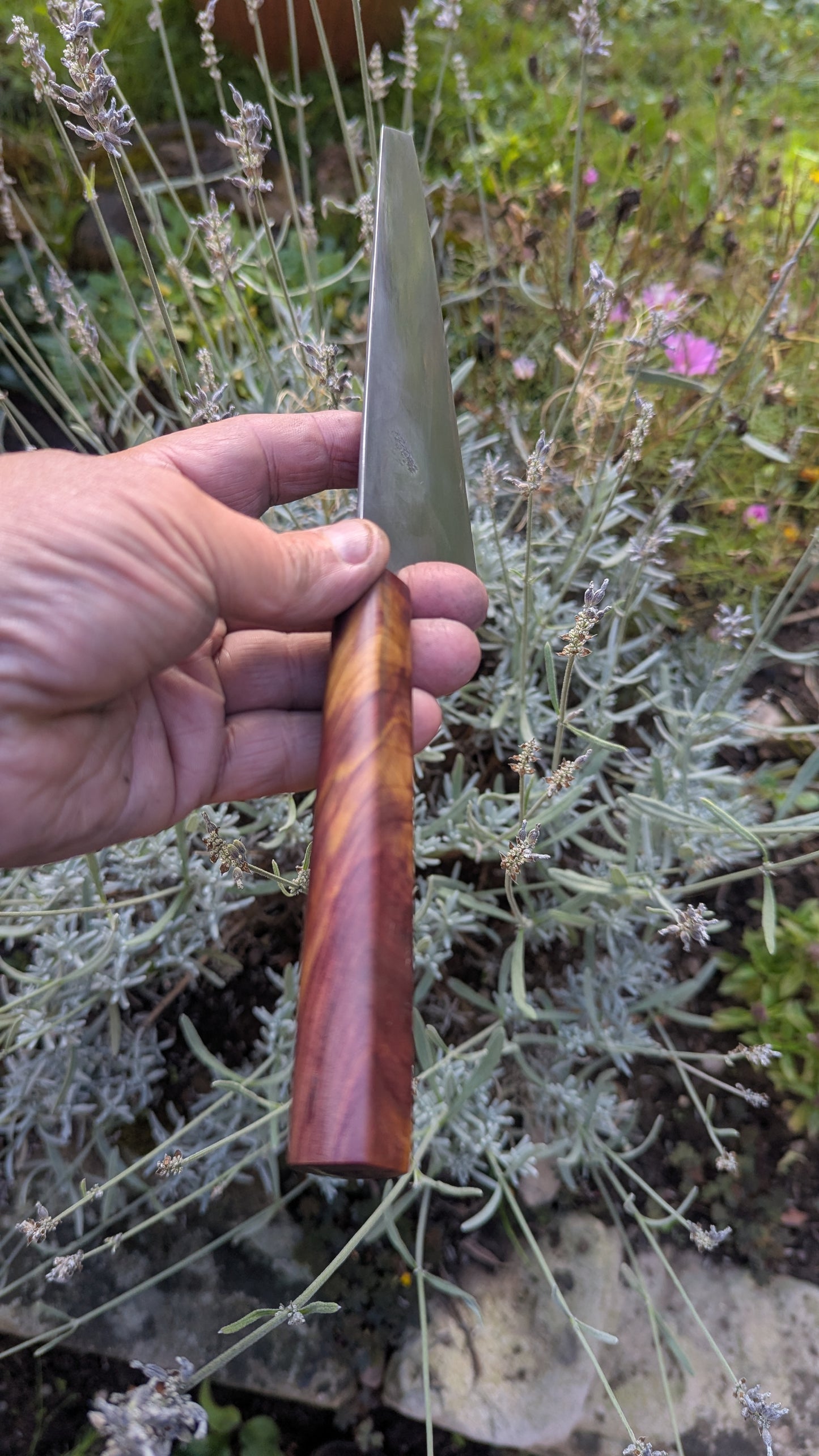 Forged 185mm Kiritsuke. Takefu Shiro 2 carbon steel with Juniper Wood Handle