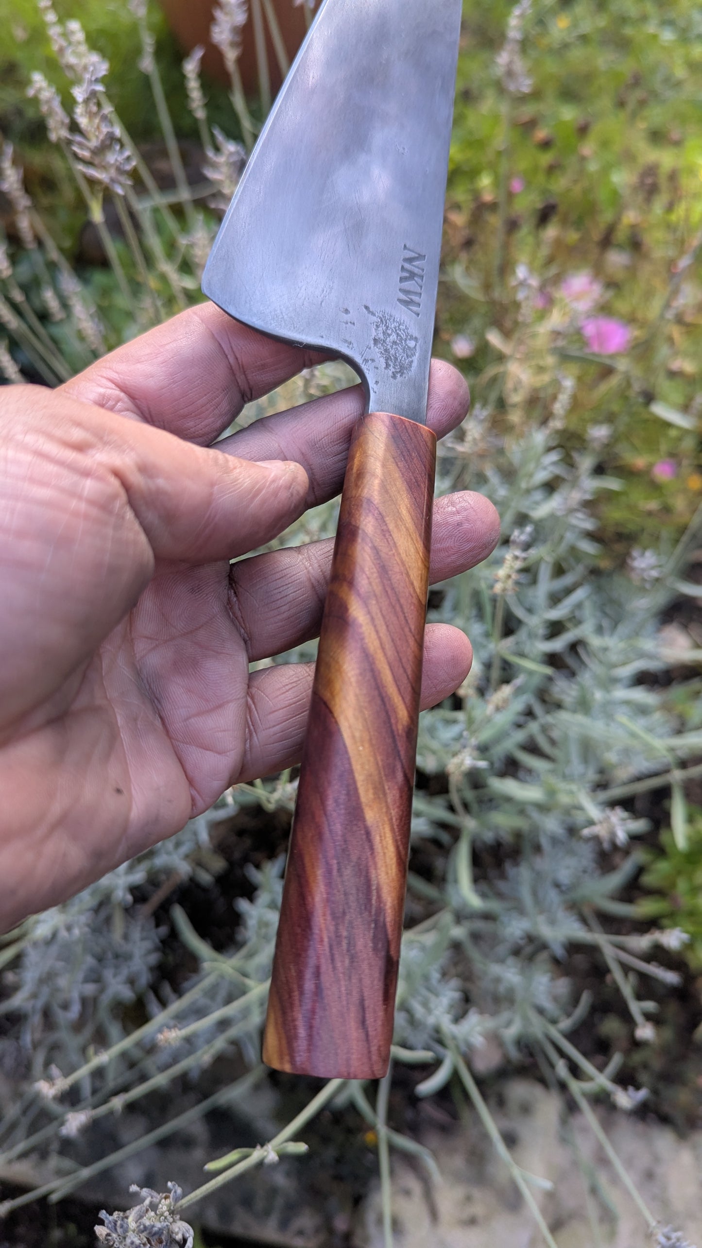 Forged 185mm Kiritsuke. Takefu Shiro 2 carbon steel with Juniper Wood Handle