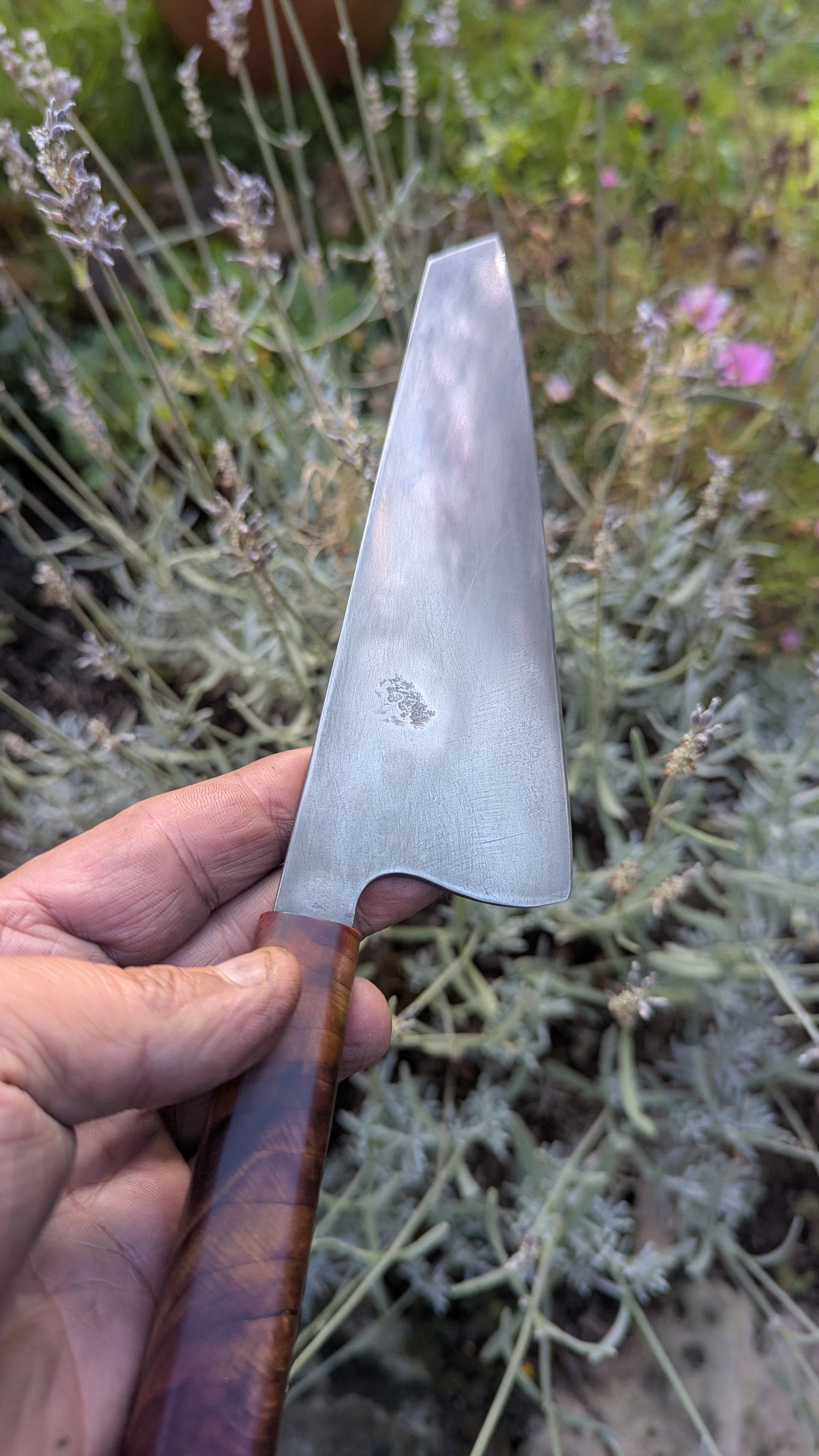Forged 185mm Kiritsuke. Takefu Shiro 2 carbon steel with Juniper Wood Handle