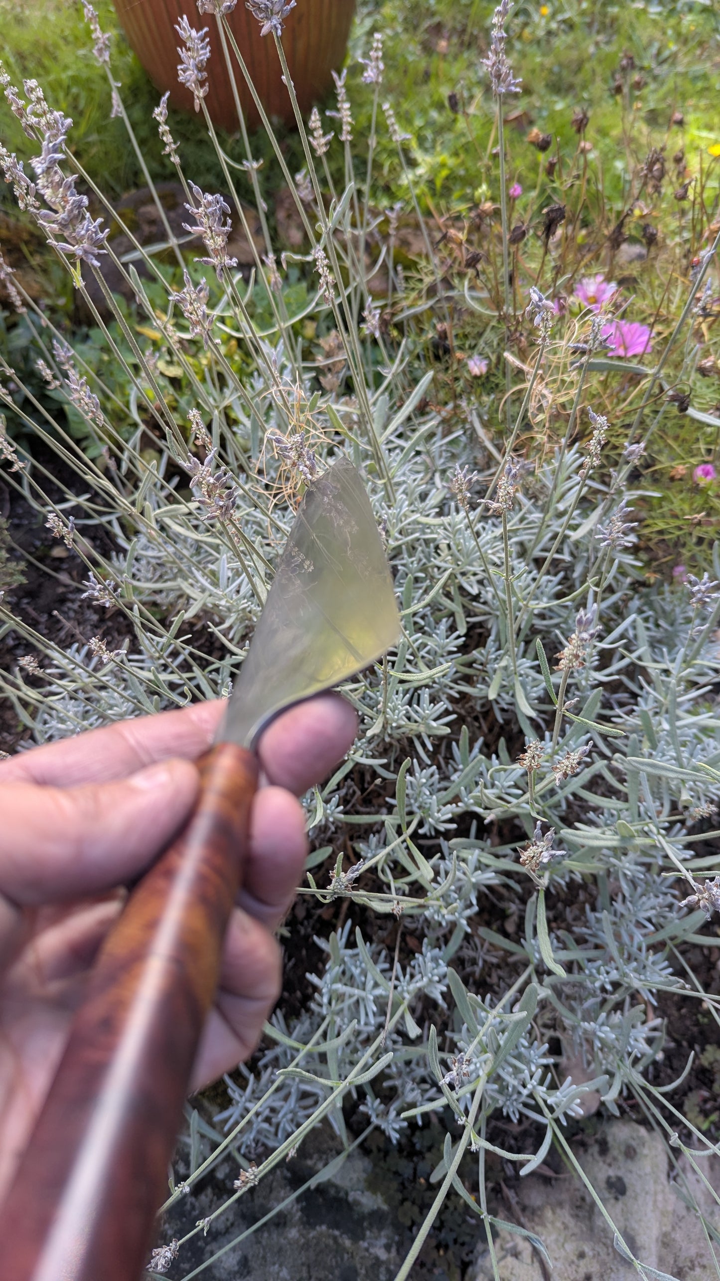 Forged 185mm Kiritsuke. Takefu Shiro 2 carbon steel with Juniper Wood Handle