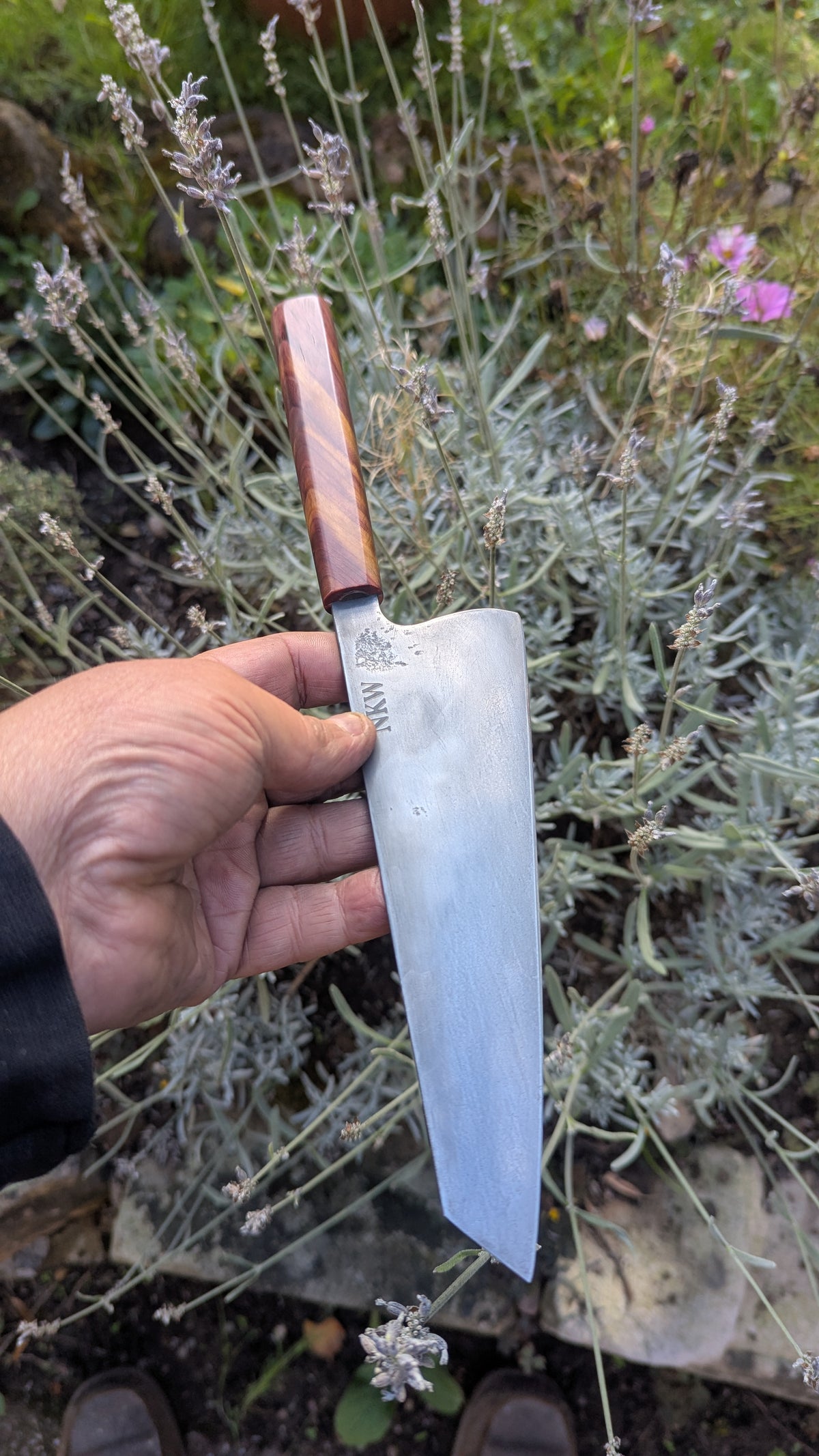 Forged 185mm Kiritsuke. Takefu Shiro 2 carbon steel with Juniper Wood Handle