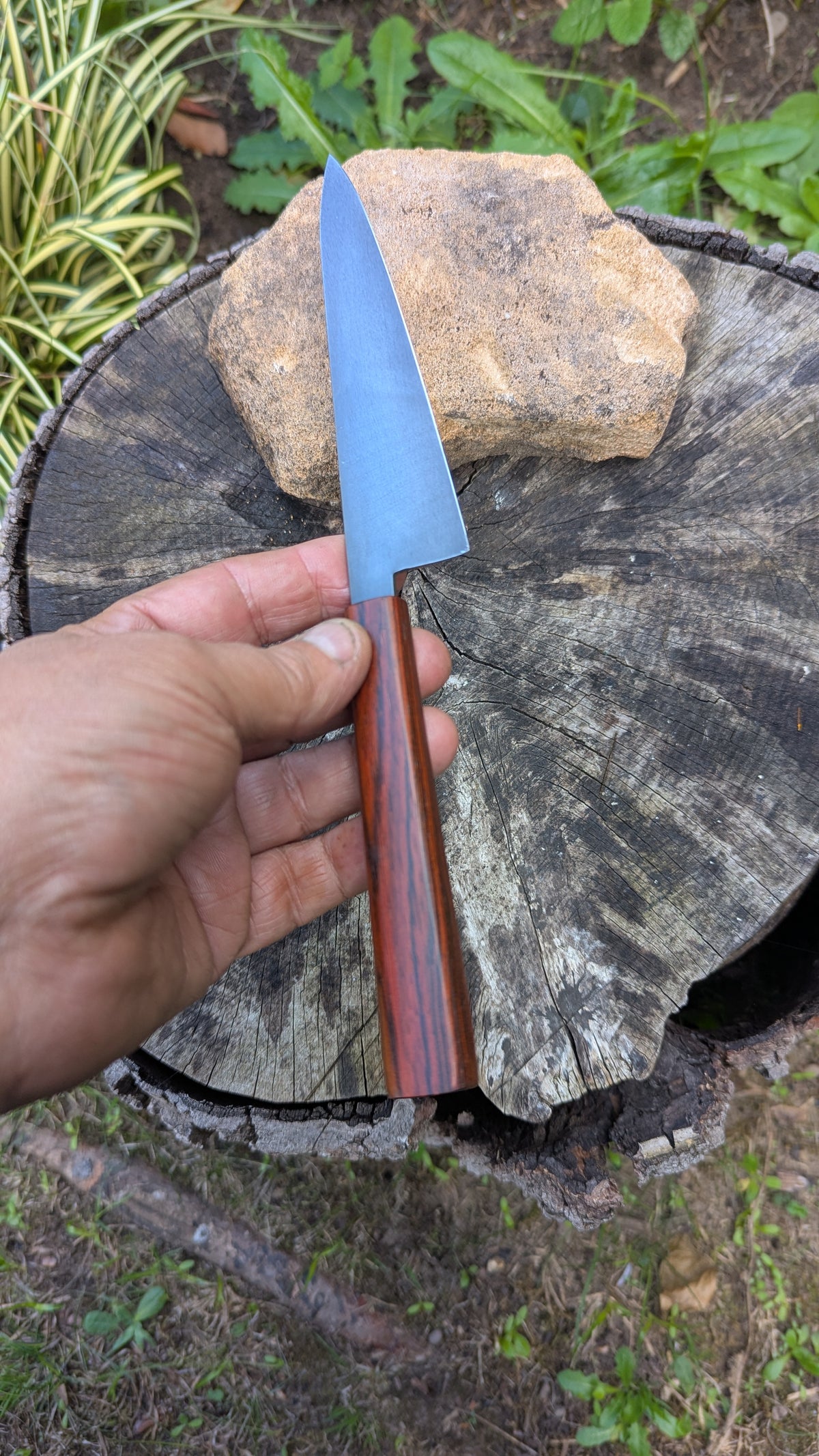 Handmade Everyday knife. ApexUltra carbon steel. Repurposed Rosewood