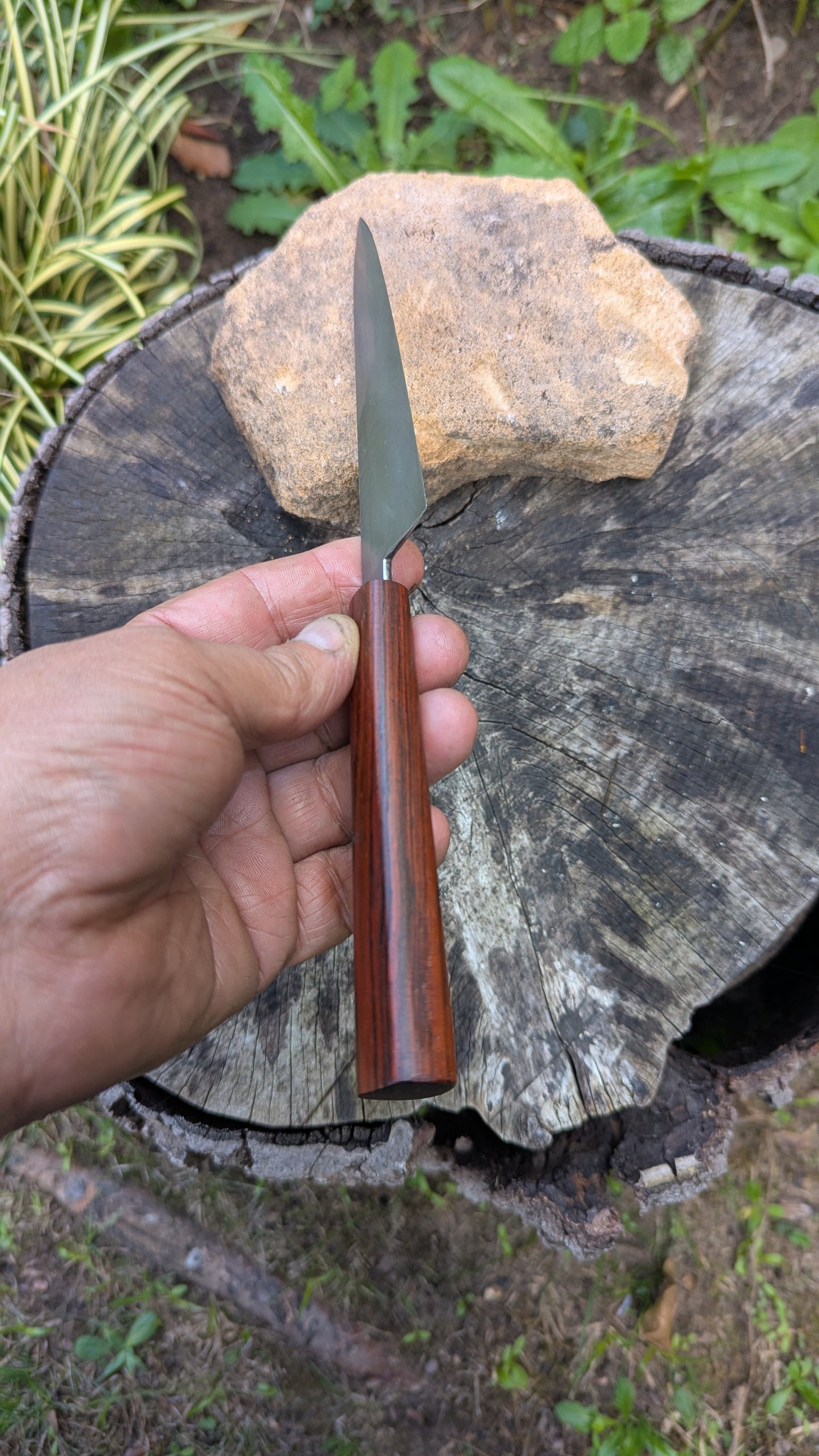 Handmade Everyday knife. ApexUltra carbon steel. Repurposed Rosewood
