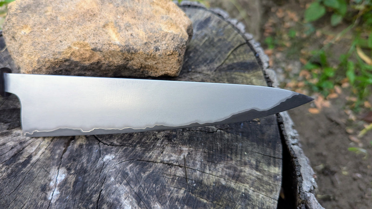 Gyuto 200mm Takefu Super Blue Stainless Steel Clad San Mai. Walnut Burl handle