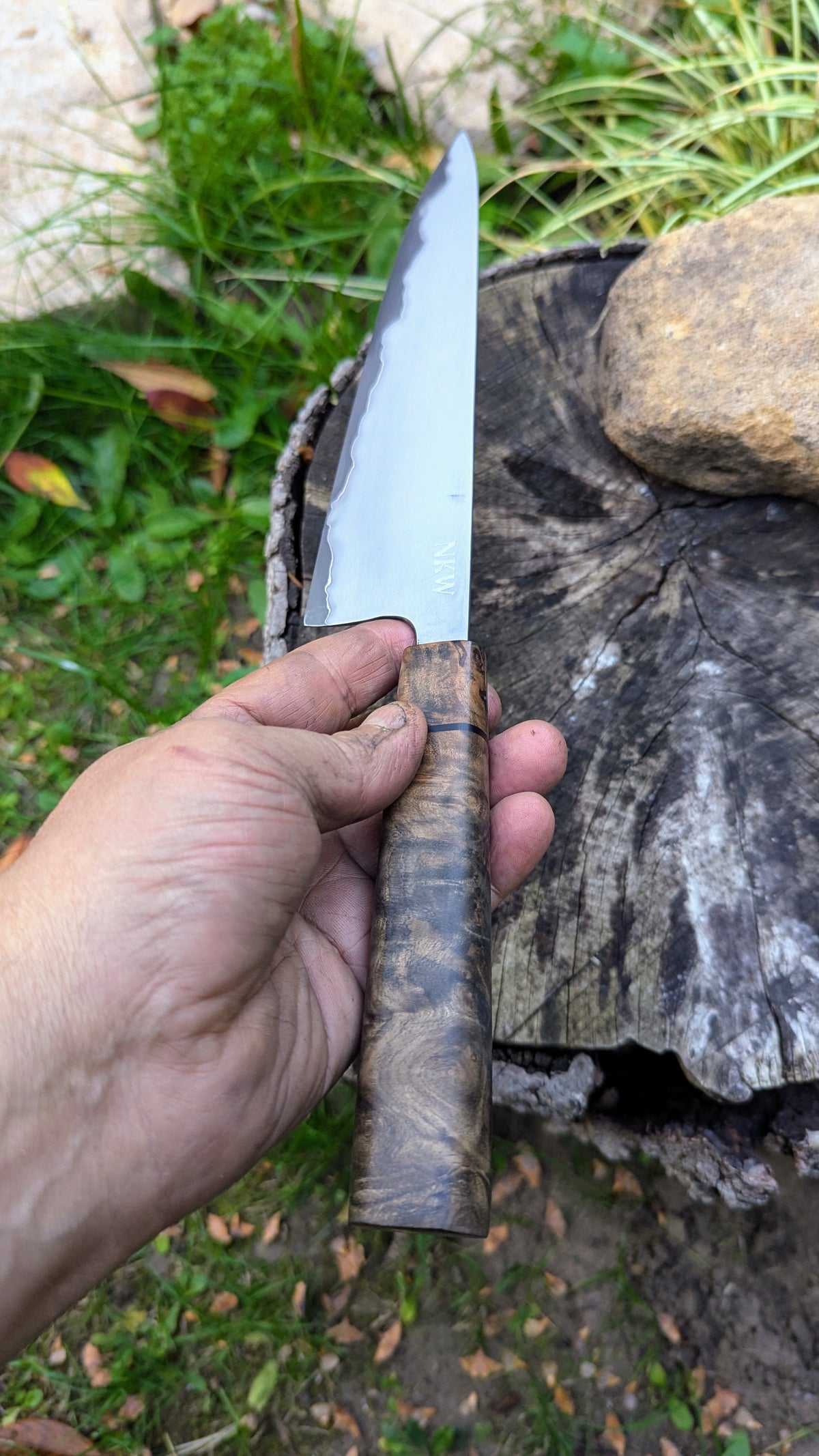 Gyuto 200mm Takefu Super Blue Stainless Steel Clad San Mai. Walnut Burl handle
