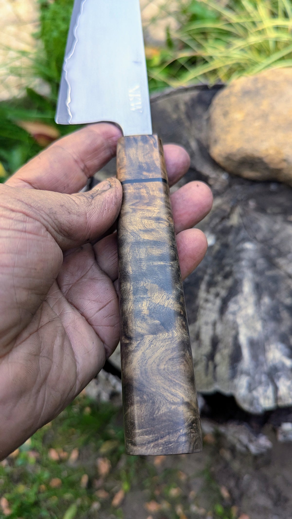 Gyuto 200mm Takefu Super Blue Stainless Steel Clad San Mai. Walnut Burl handle