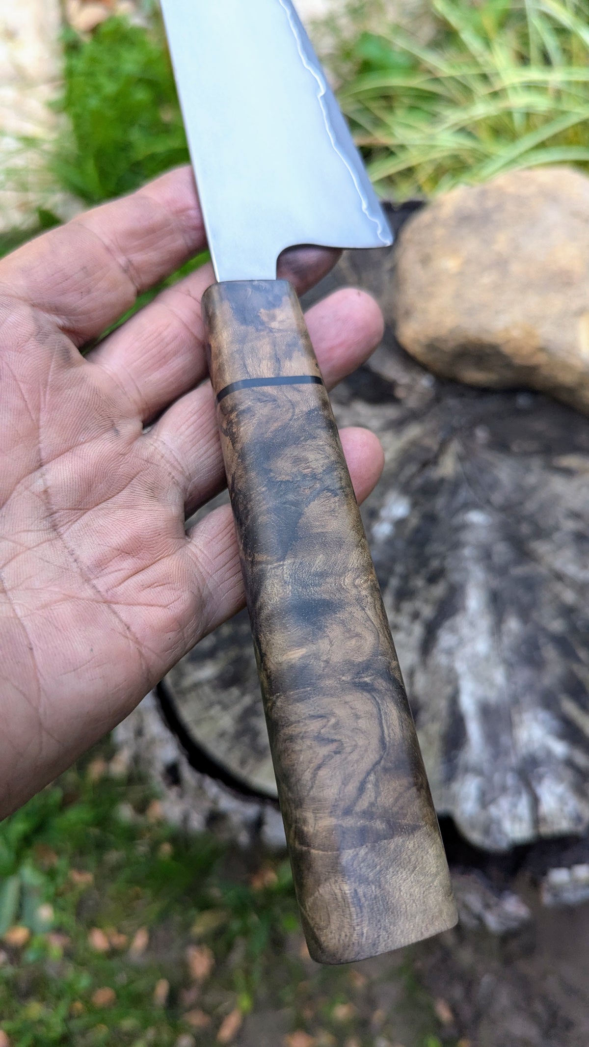 Gyuto 200mm Takefu Super Blue Stainless Steel Clad San Mai. Walnut Burl handle