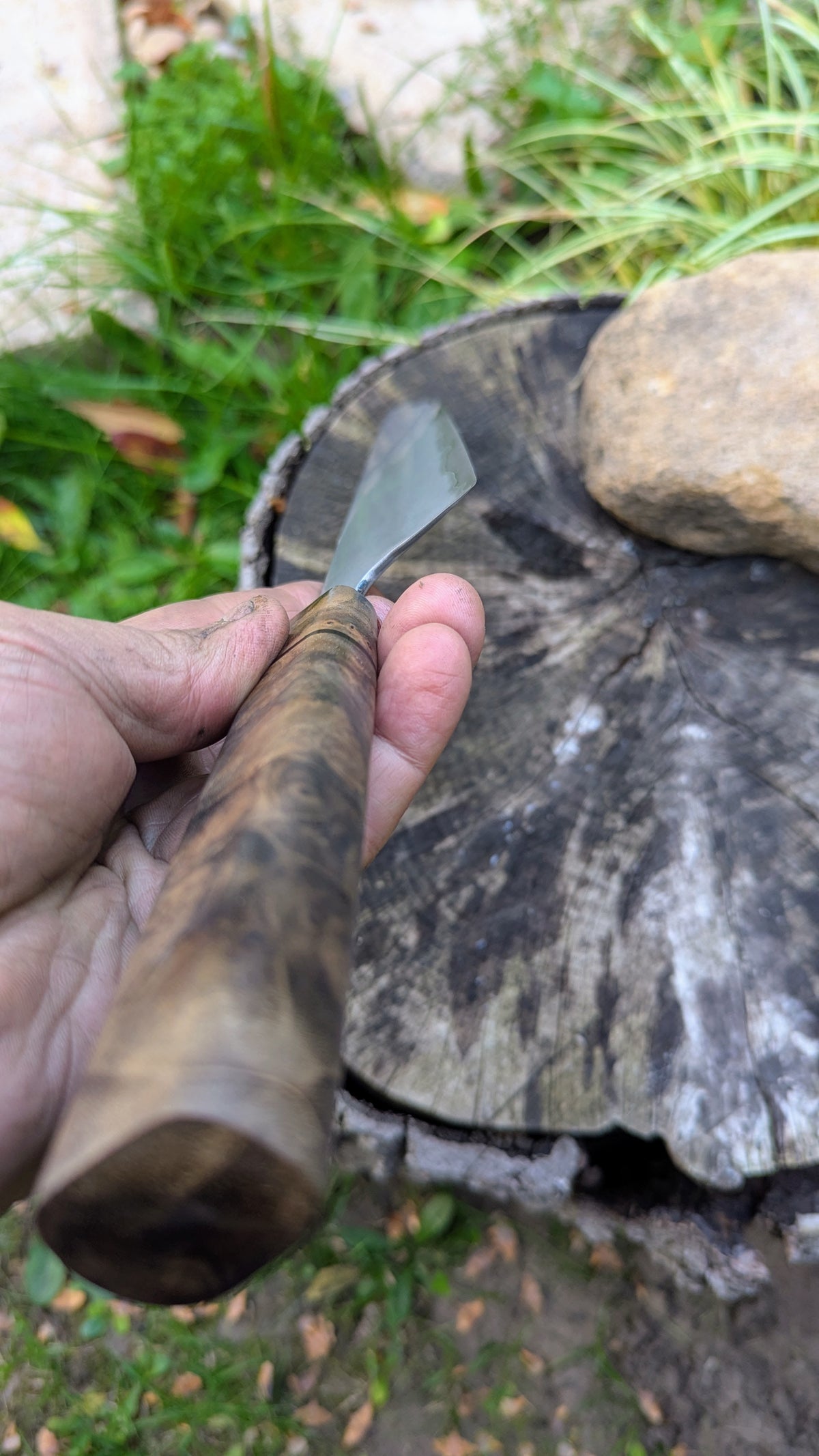 Gyuto 200mm Takefu Super Blue Stainless Steel Clad San Mai. Walnut Burl handle