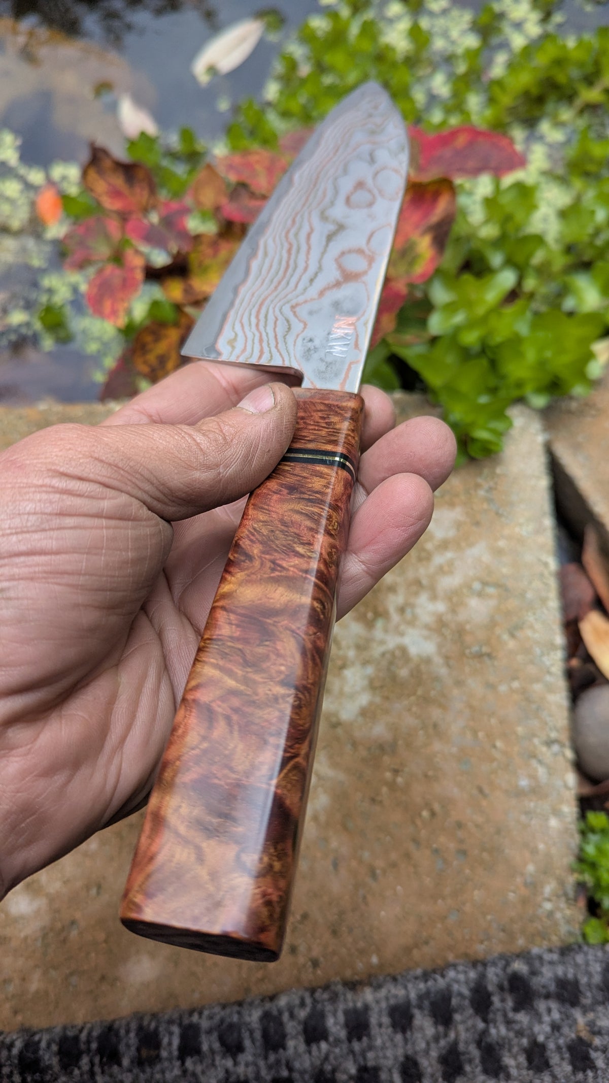 Santoku 170mm Yu-Shoku VG10W and Amboyna Burl Handle