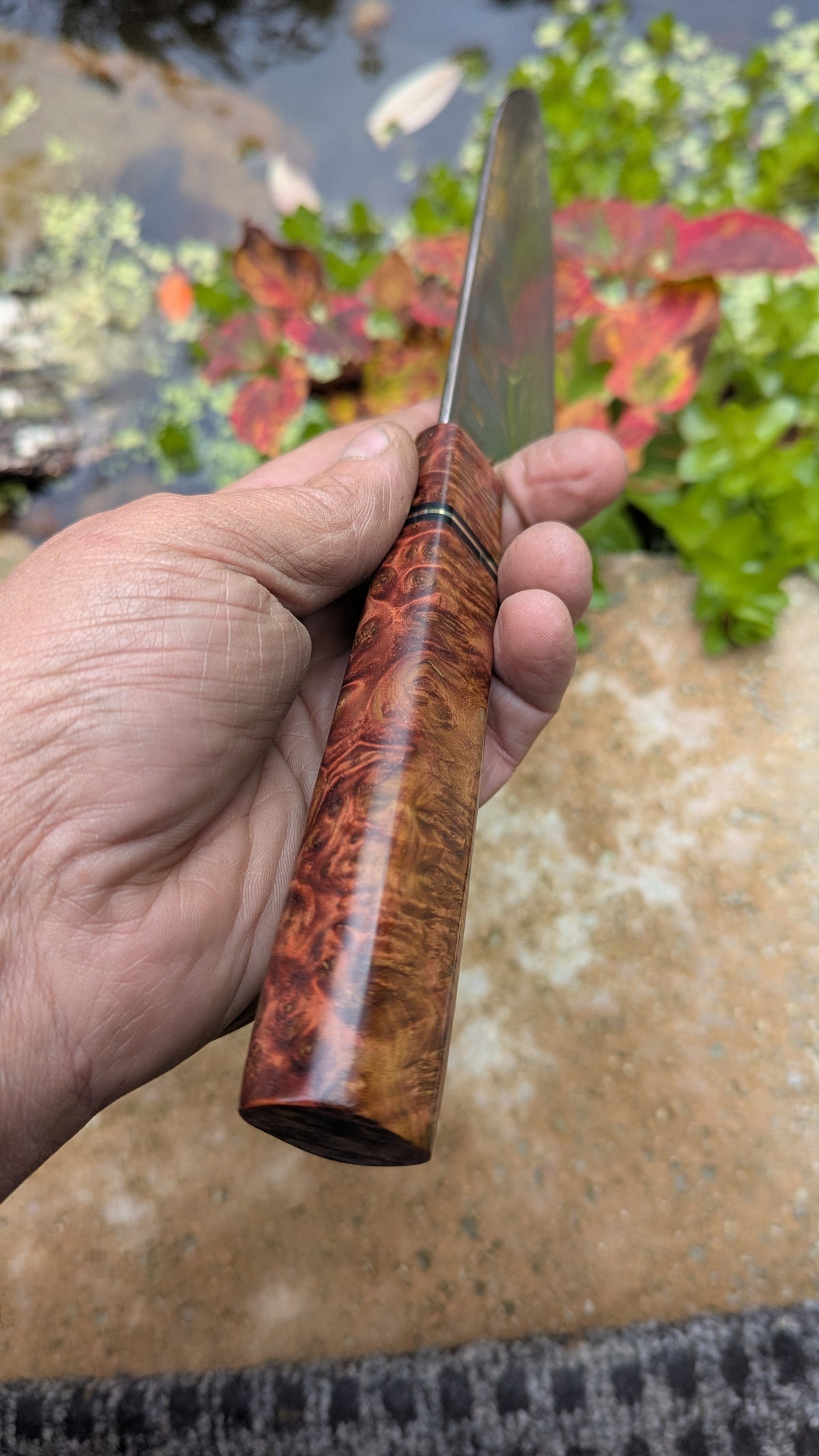 Santoku 170mm Yu-Shoku VG10W and Amboyna Burl Handle
