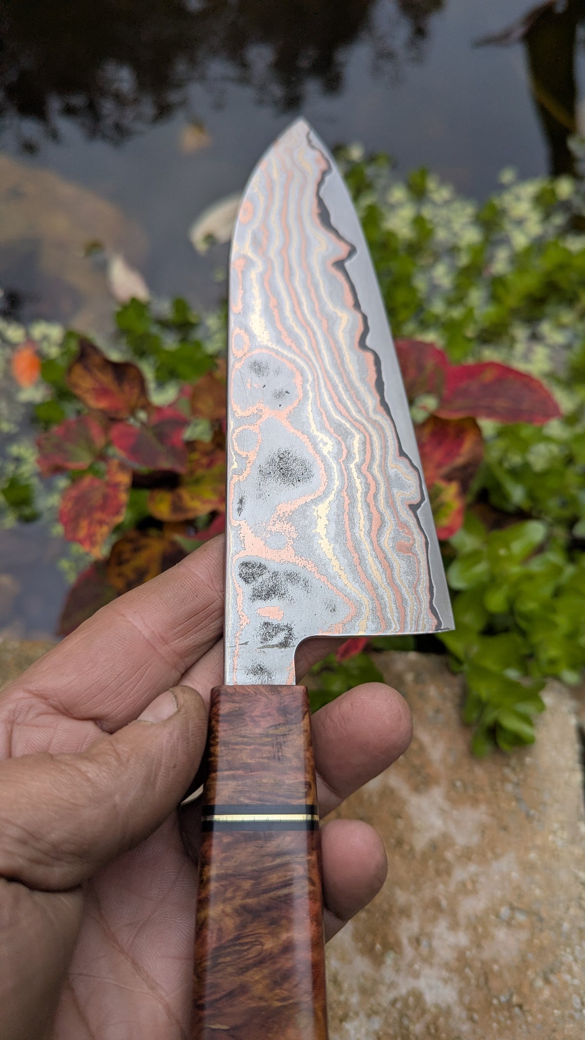 Santoku 170mm Yu-Shoku VG10W and Amboyna Burl Handle