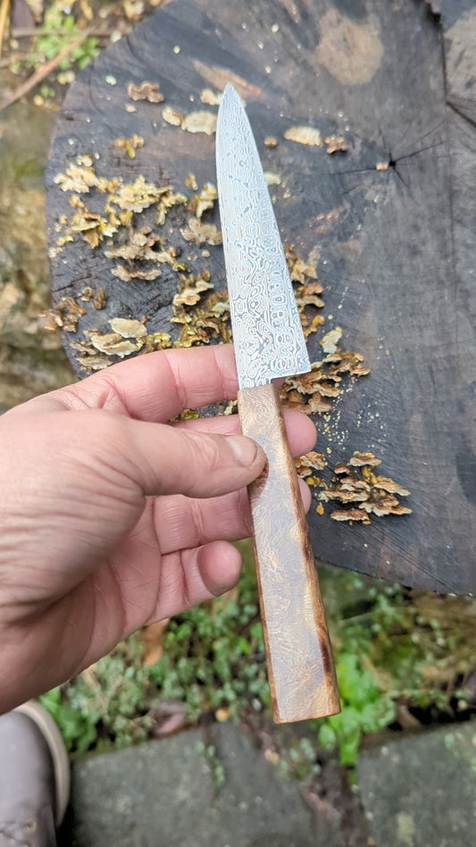 Hand made Pairing Knife Stainless Damascus - Damasteel® DS93X - Yggdrasil . Lace Wood Burl handle