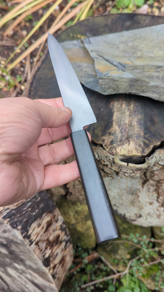 Handmade Pairing Knife, ApexUltra steel and 5600 Years Old Bog Oak Handle