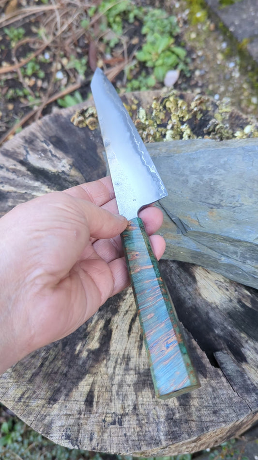 Kiritsuke 175mm. Takefu Super Blue Stainless Clad San Mai. Field Maple Burl Handle